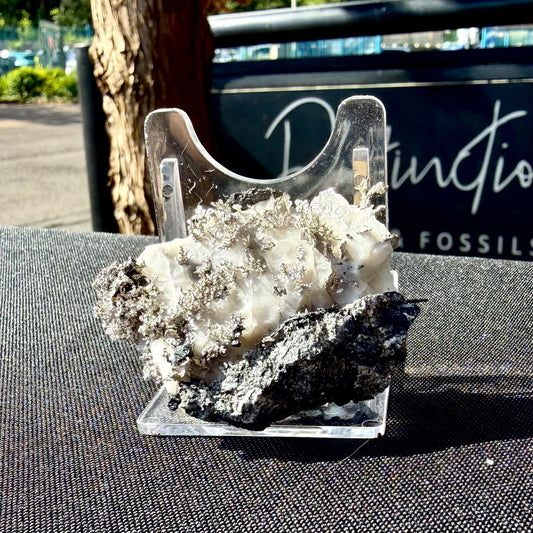 Natural Native Silver on Calcite Matrix | Collectors Mineral Specimen (B1 #3)