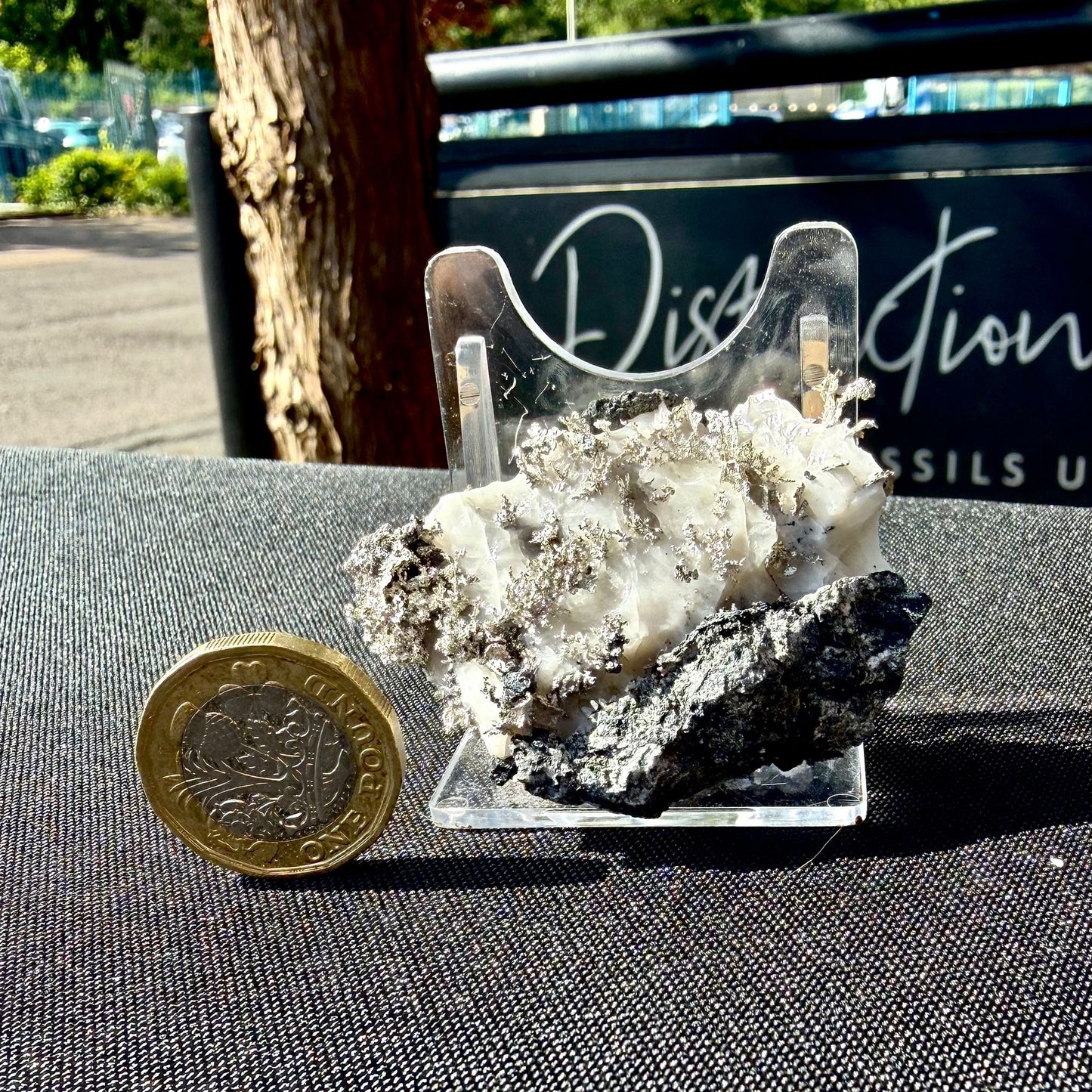 Natural Native Silver on Calcite Matrix | Collectors Mineral Specimen (B1 #3)