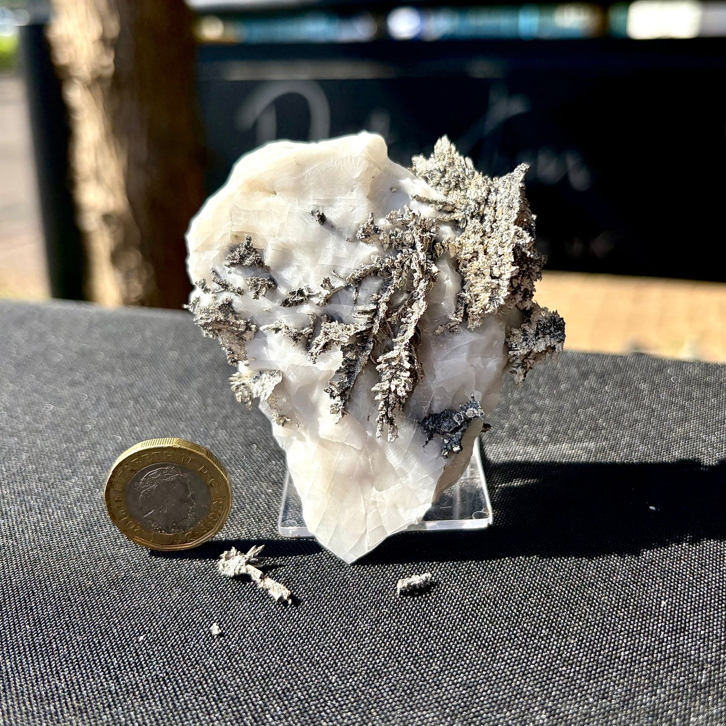 Natural Native Silver on Calcite Matrix | Collectors Mineral Specimen (B1 #4)