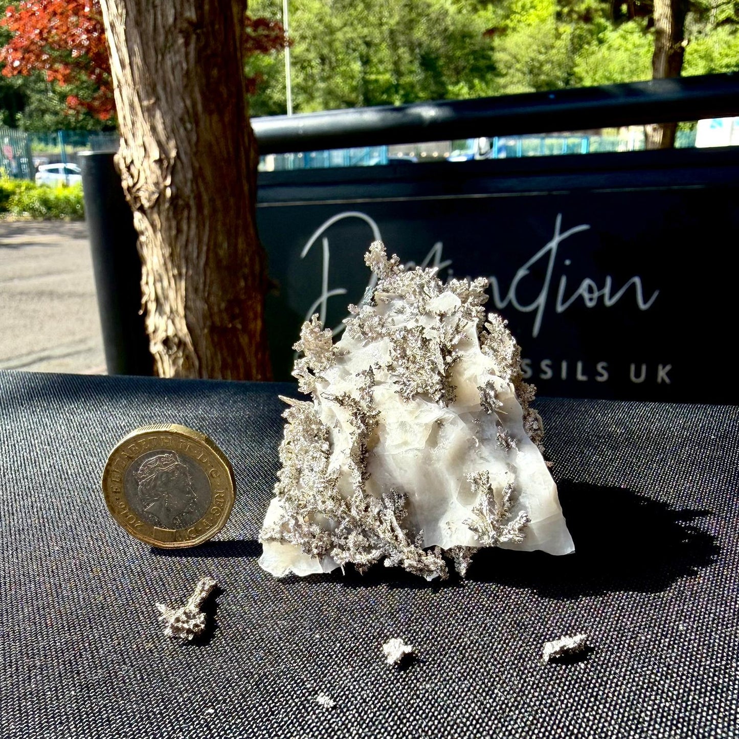 Natural Native Silver on Calcite Matrix | Collectors Mineral Specimen (B1 #5)