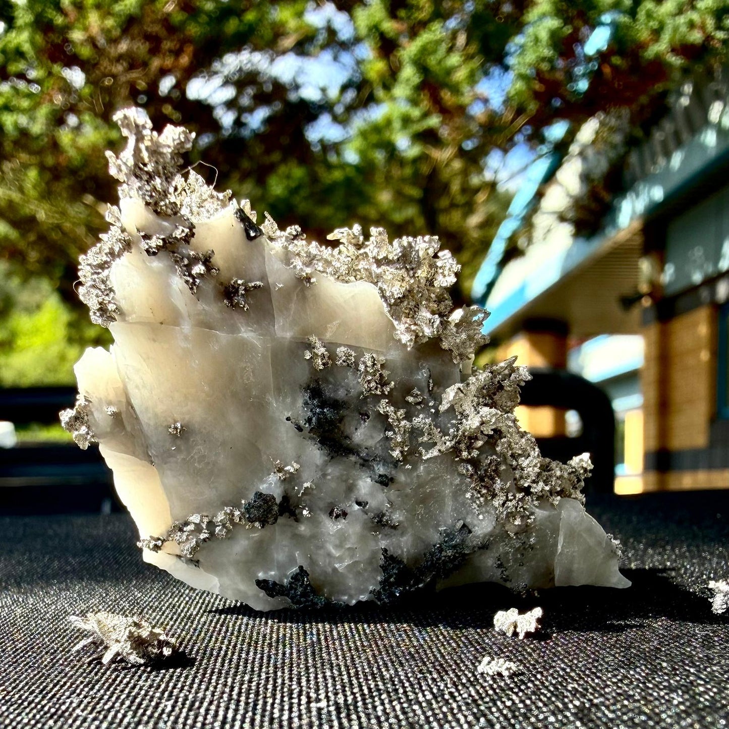 Natural Native Silver on Calcite Matrix | Collectors Mineral Specimen (B1 #5)