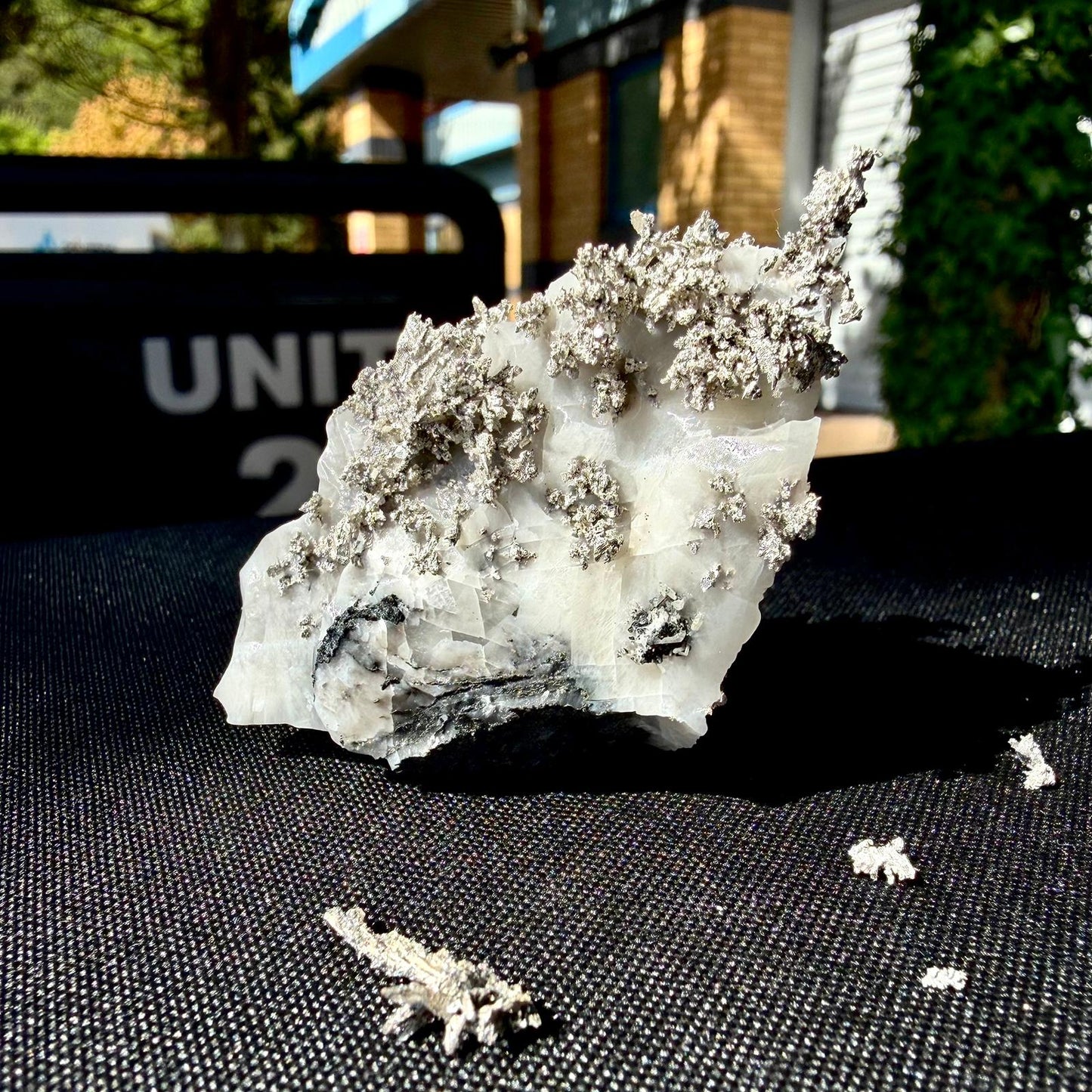 Natural Native Silver on Calcite Matrix | Collectors Mineral Specimen (B1 #5)