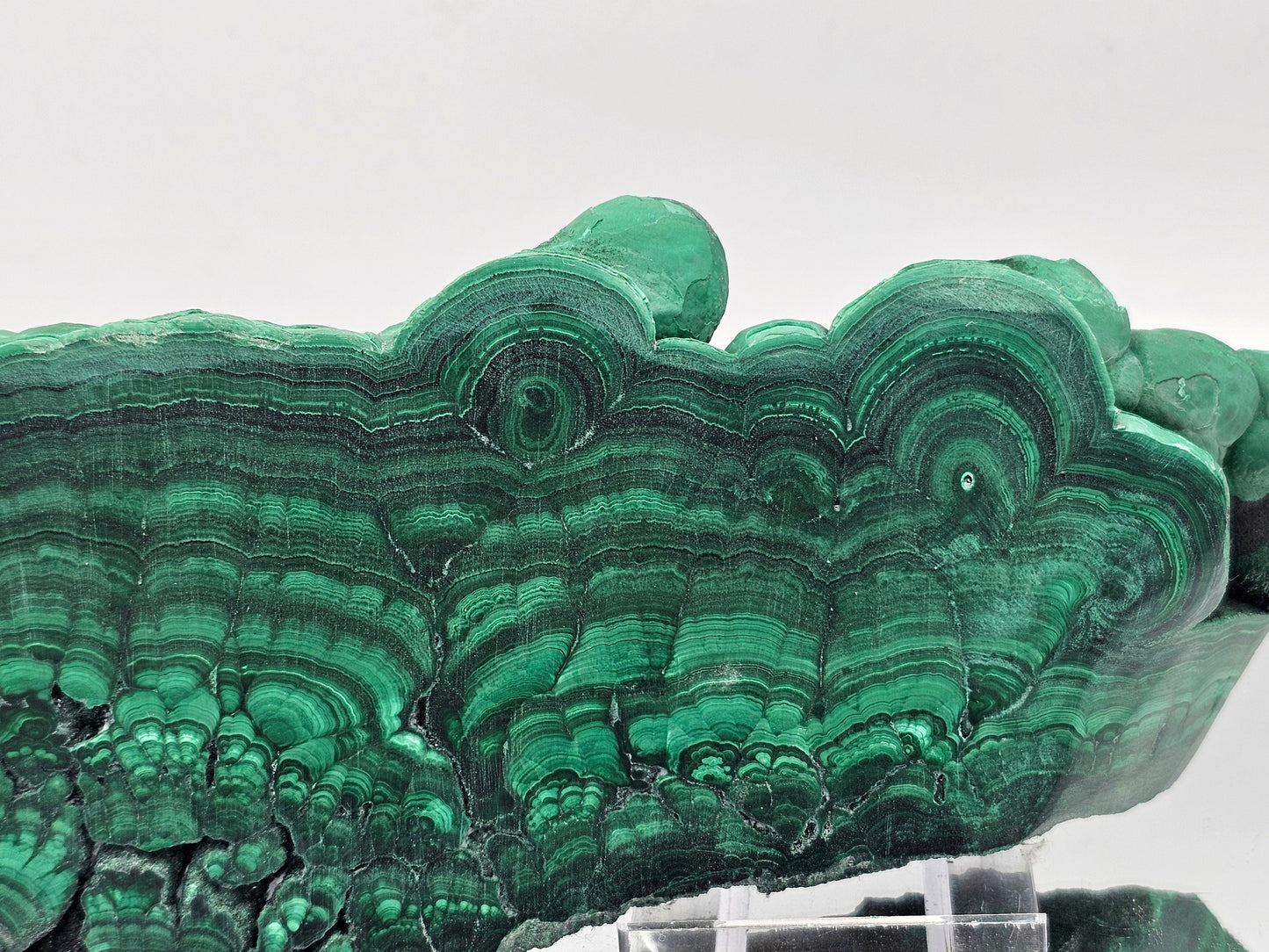 Premium Large Malachite Crystal Slice Floral Polished