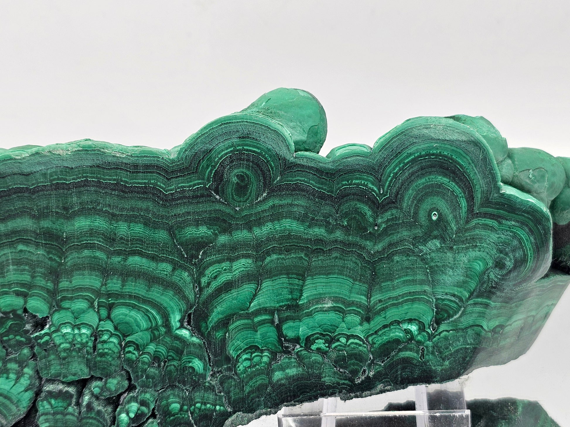Premium Large Malachite Crystal Slice Floral Polished