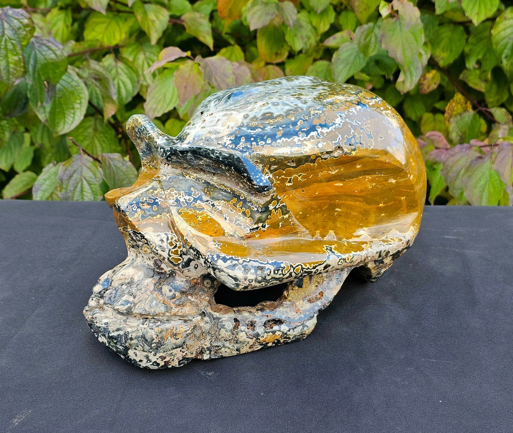 Very Large Exceptional Orbital Ocean Jasper Crystal Skull