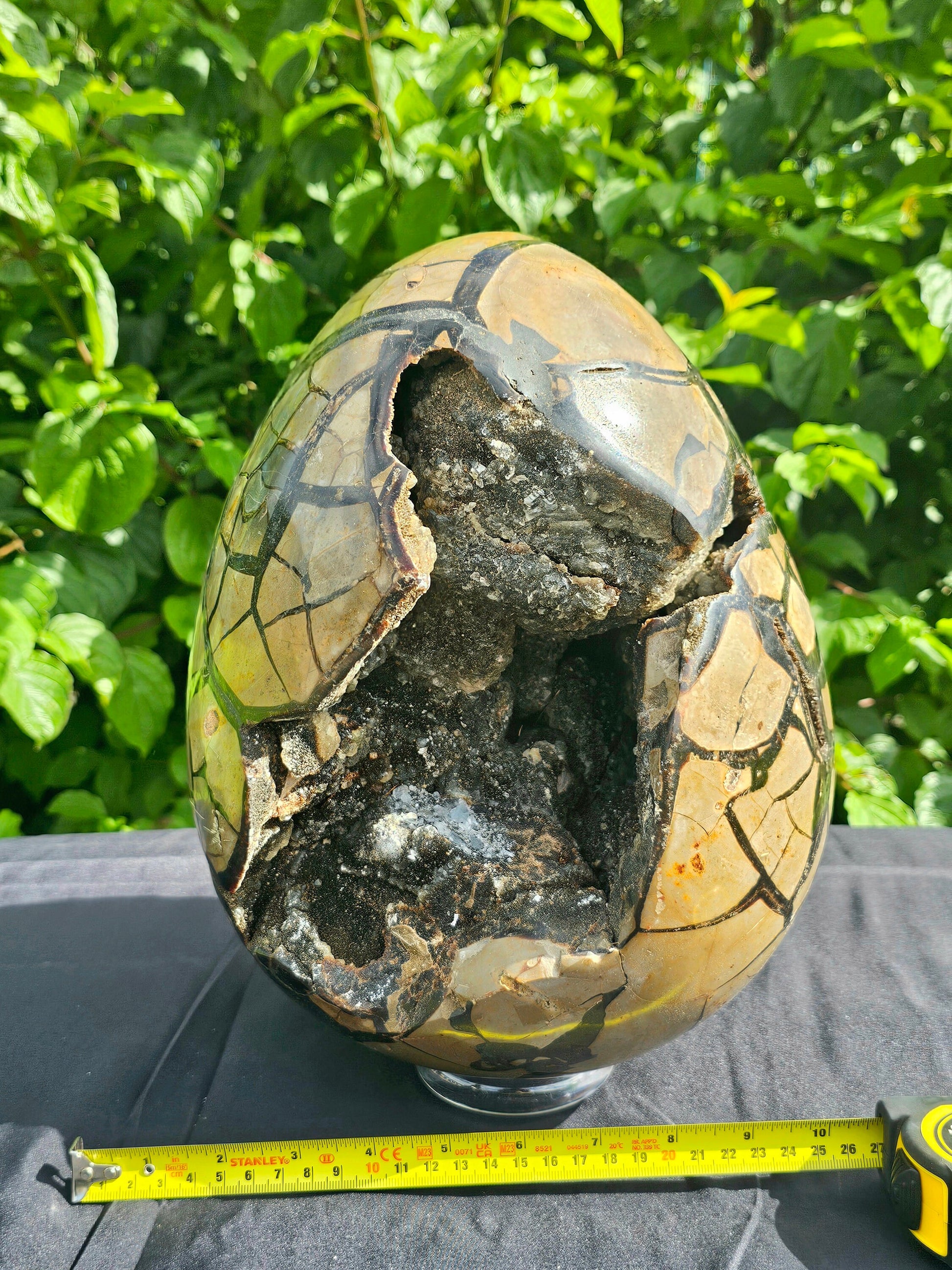 XL septarian crystal egg unique interior design