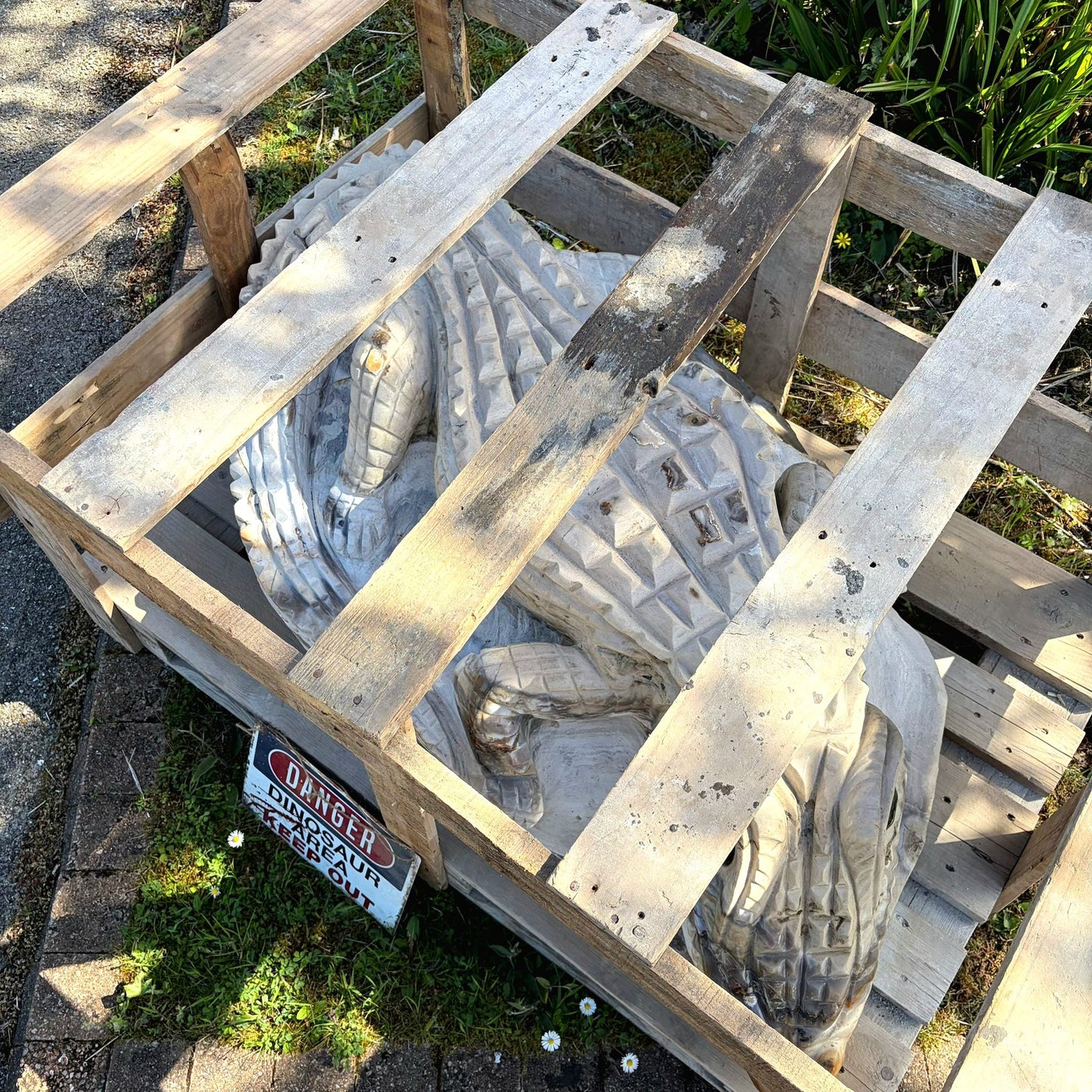 large agate crocodile with dimensions reference