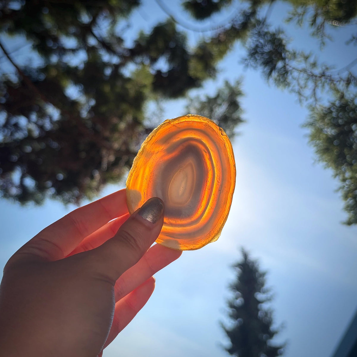 Set of 3 natural Agate mineral slices