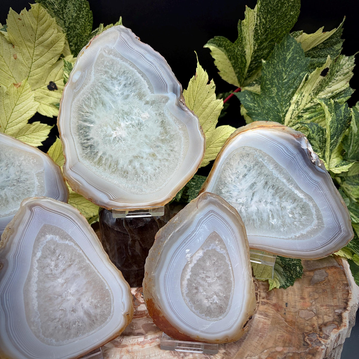 Natural Agate quintet arranged as a statement stone display
