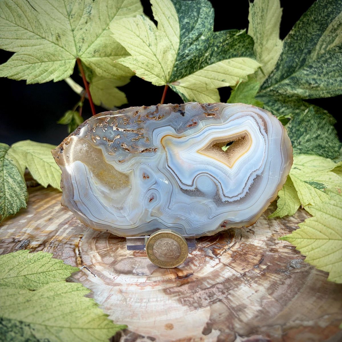 Agate slice pair for interior design and display