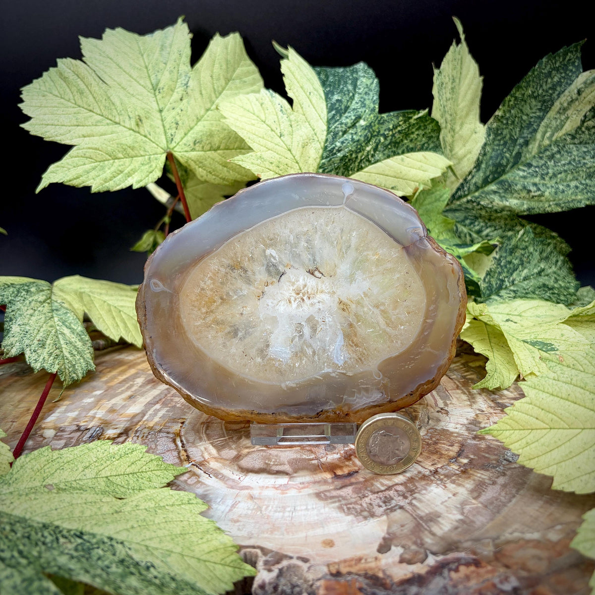 Agate slice trio styled as natural stone decor