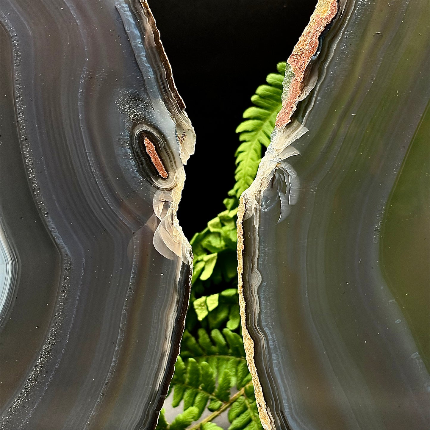 Close-up view of large, mirror-polished natural agate slices highlighting its thin profile and outer matrix.