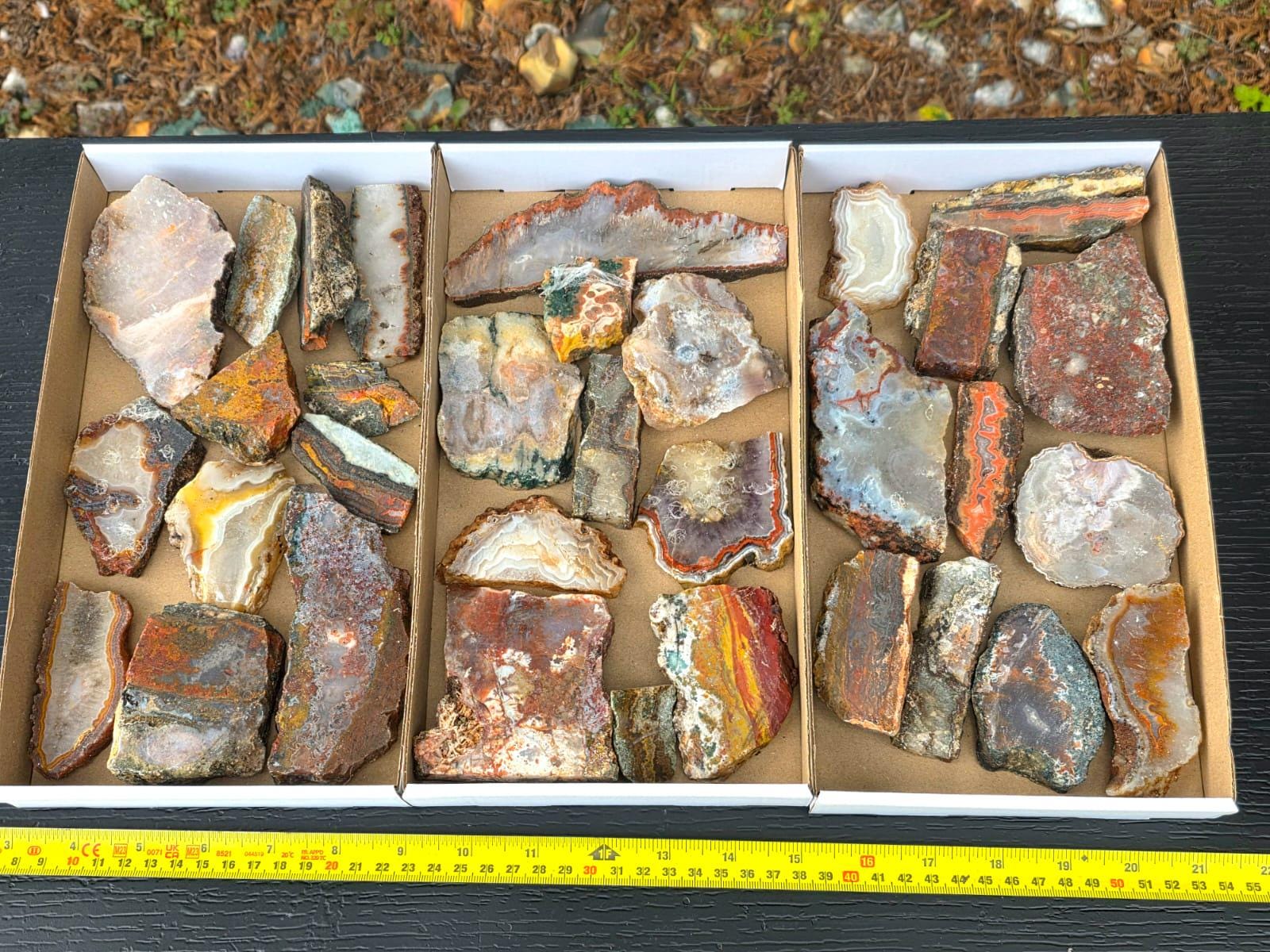 Tray of agate slices natural banded stone lapidary