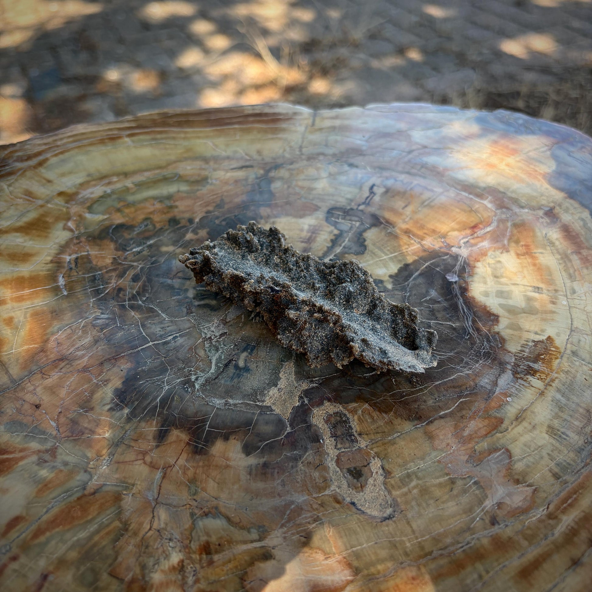 Detailed view of a natural Fulgurite specimen with a sandy, glass-like exterior.