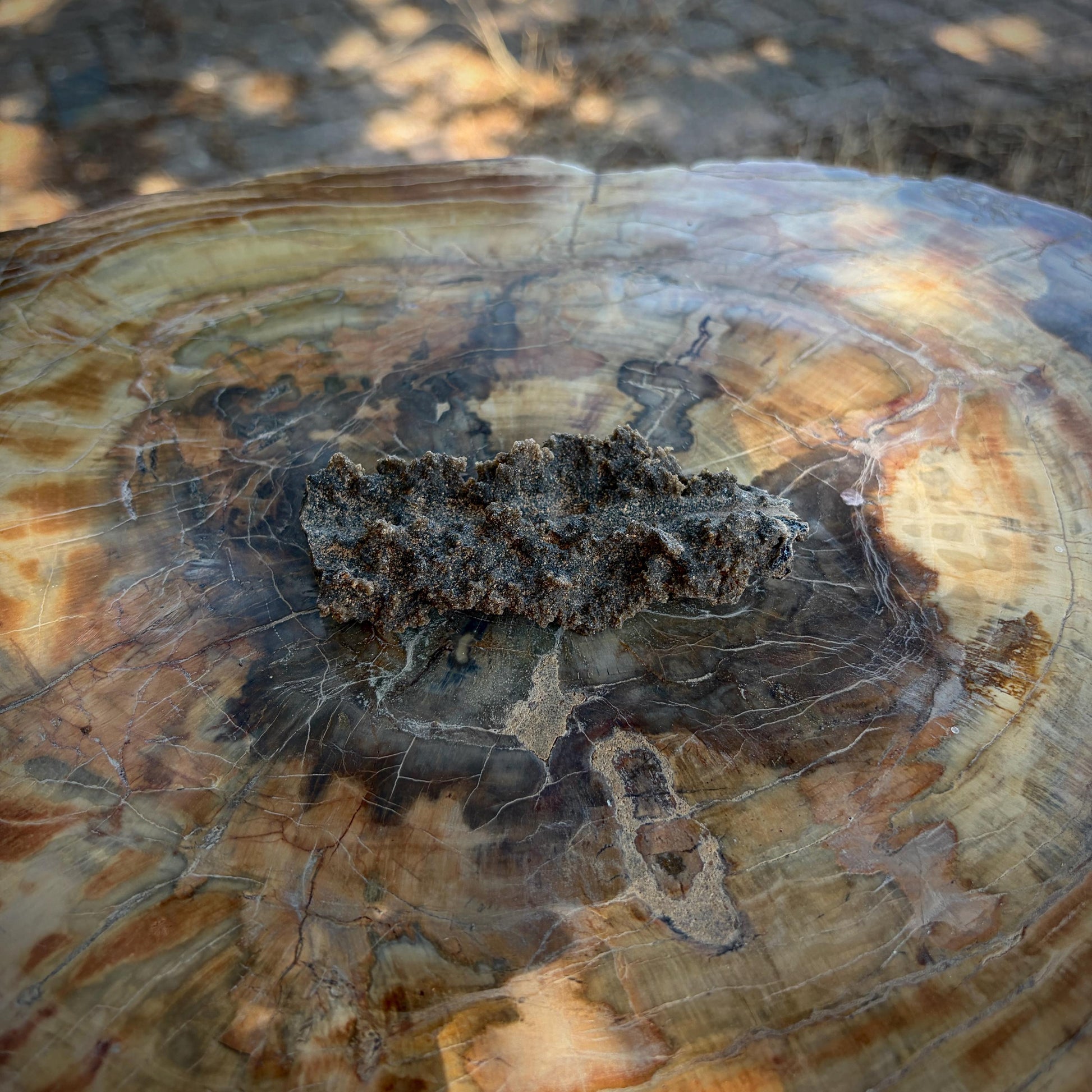 Side angle of a collector Fulgurite showing its distinctive fused-sand structure.