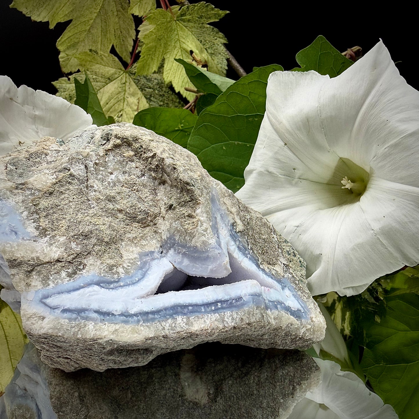 A side profile view of the raw Blue Lace Agate crystal cluster, emphasising its unique architectural shape and natural formation. 