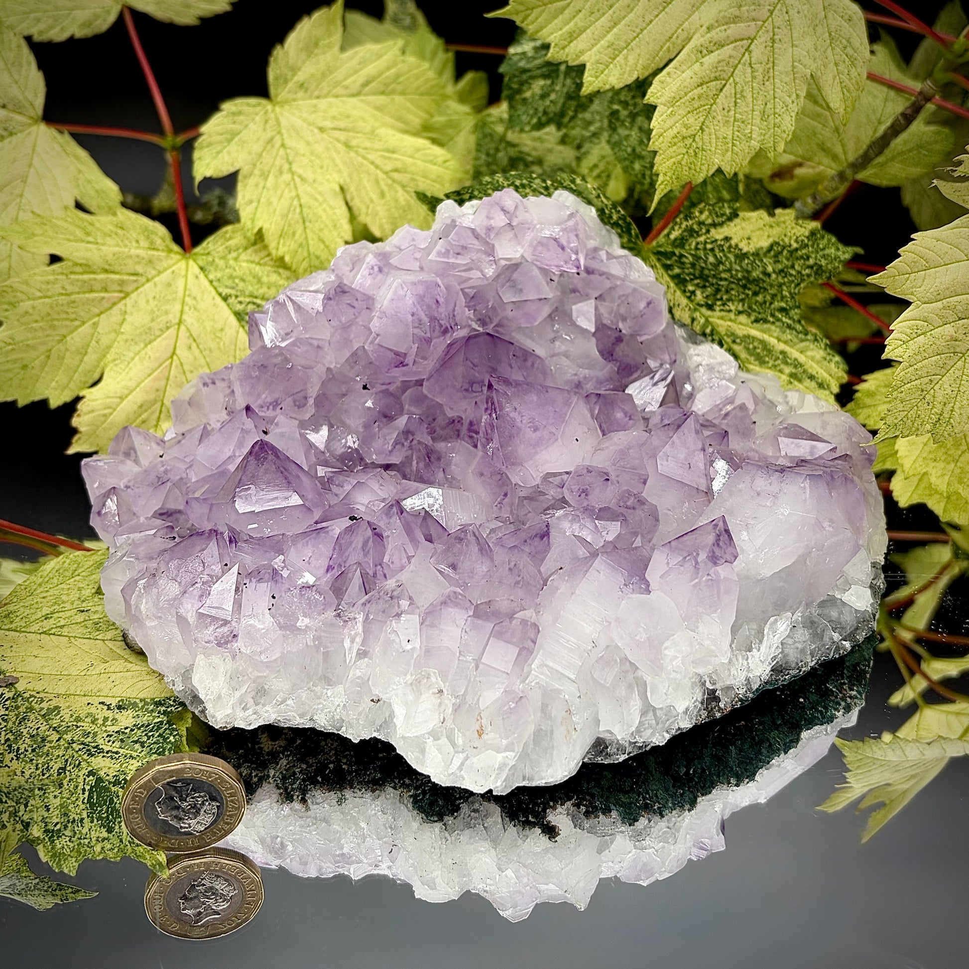 Large natural amethyst cluster showing sparkling purple crystals with pound coin for scale.
