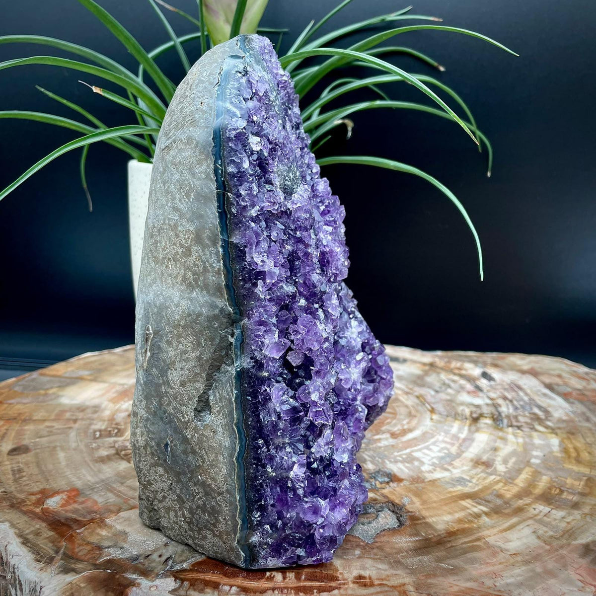 Uruguayan Amethyst display piece for crystal enthusiasts