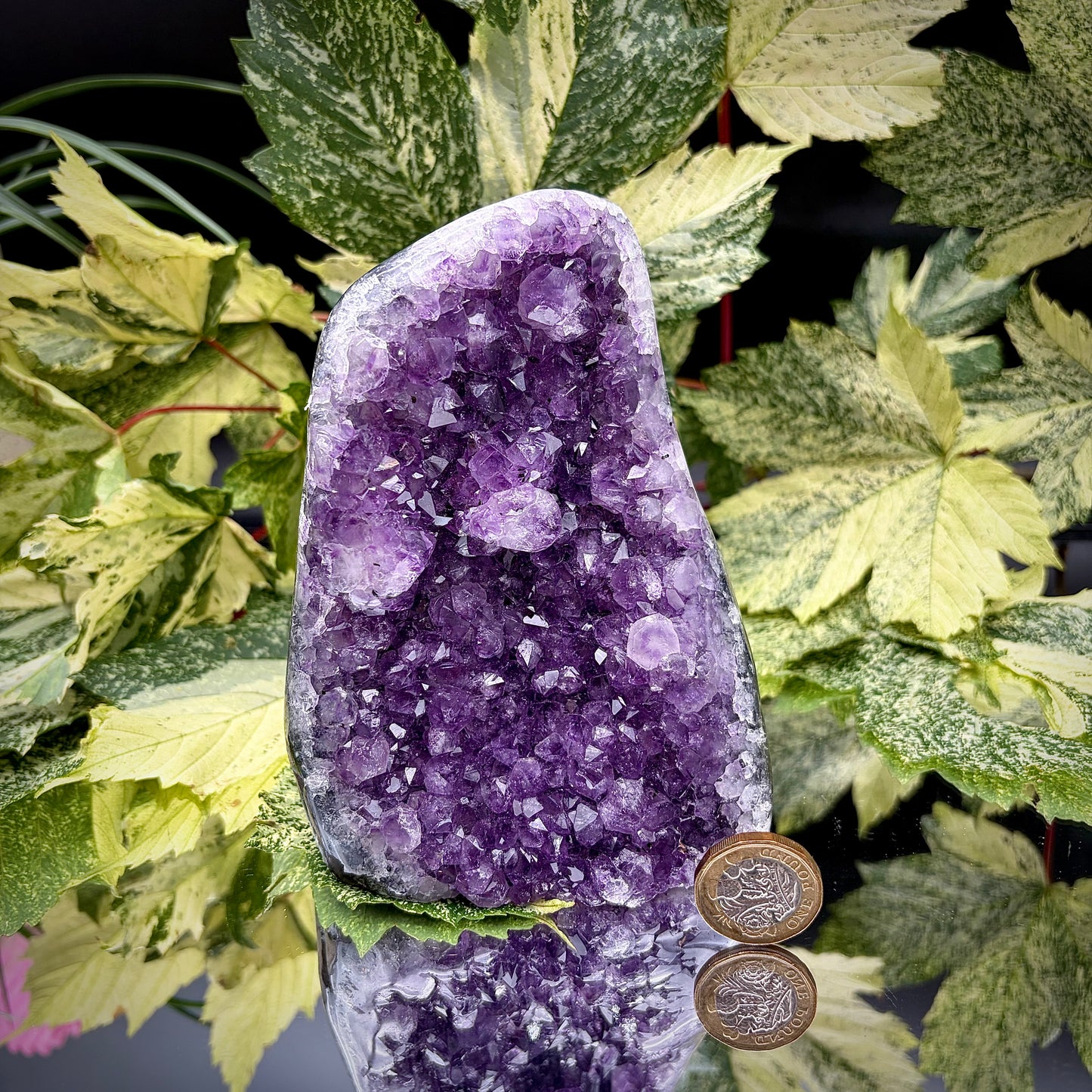 Uruguayan amethyst freeform showing sparkling purple crystals with pound coin for scale.