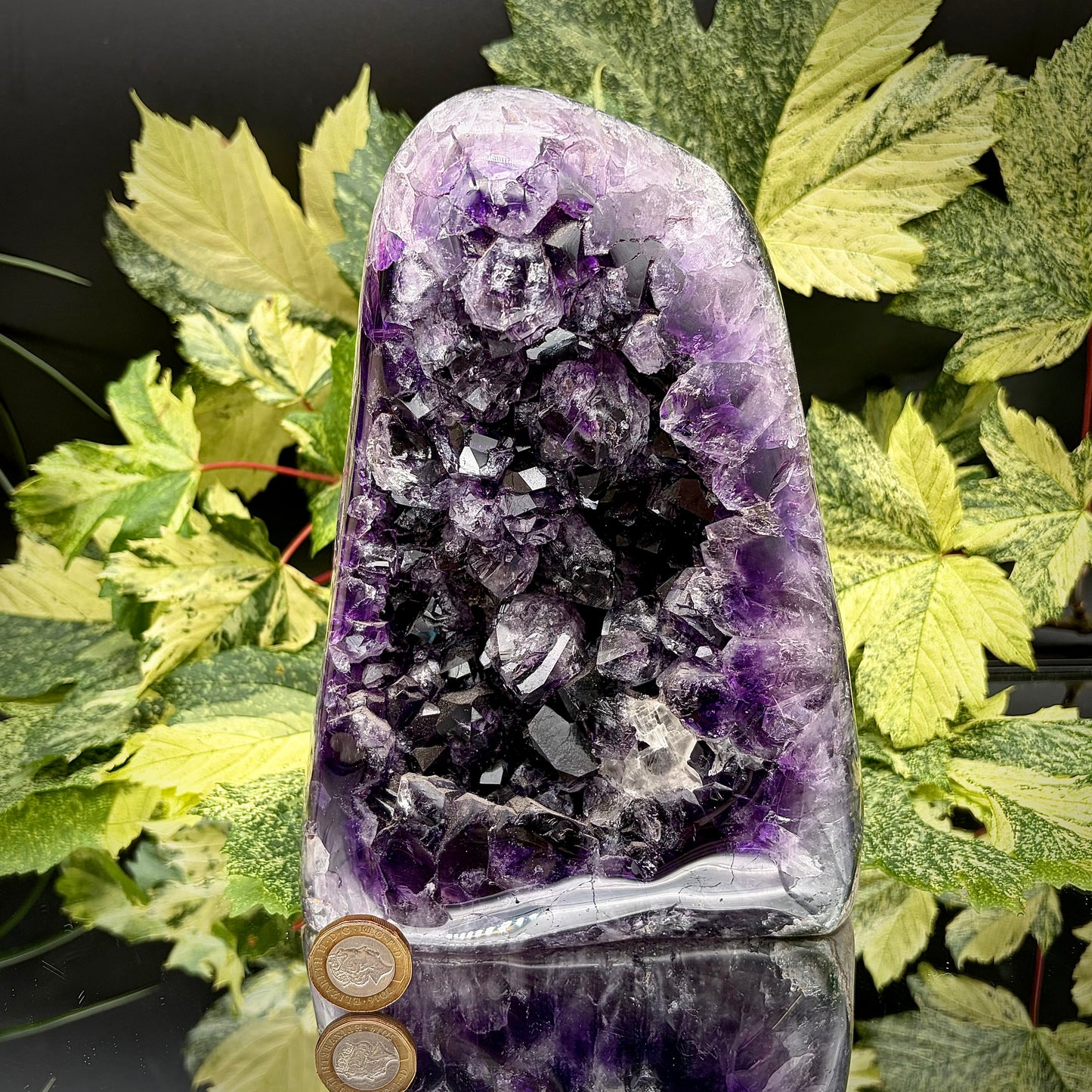 Uruguayan amethyst freeform showing sparkling purple crystals with pound coin for scale.