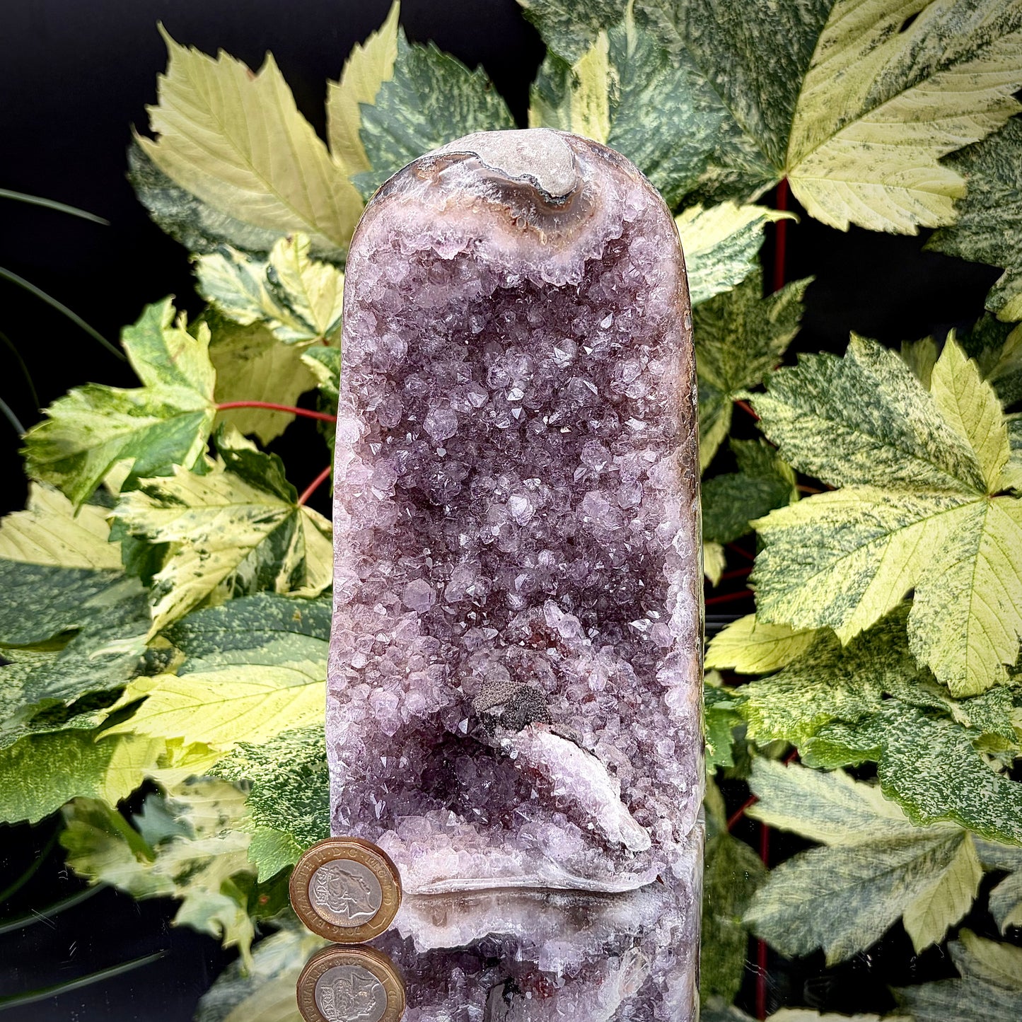 Uruguayan amethyst freeform showing sparkling purple crystals with pound coin for scale.