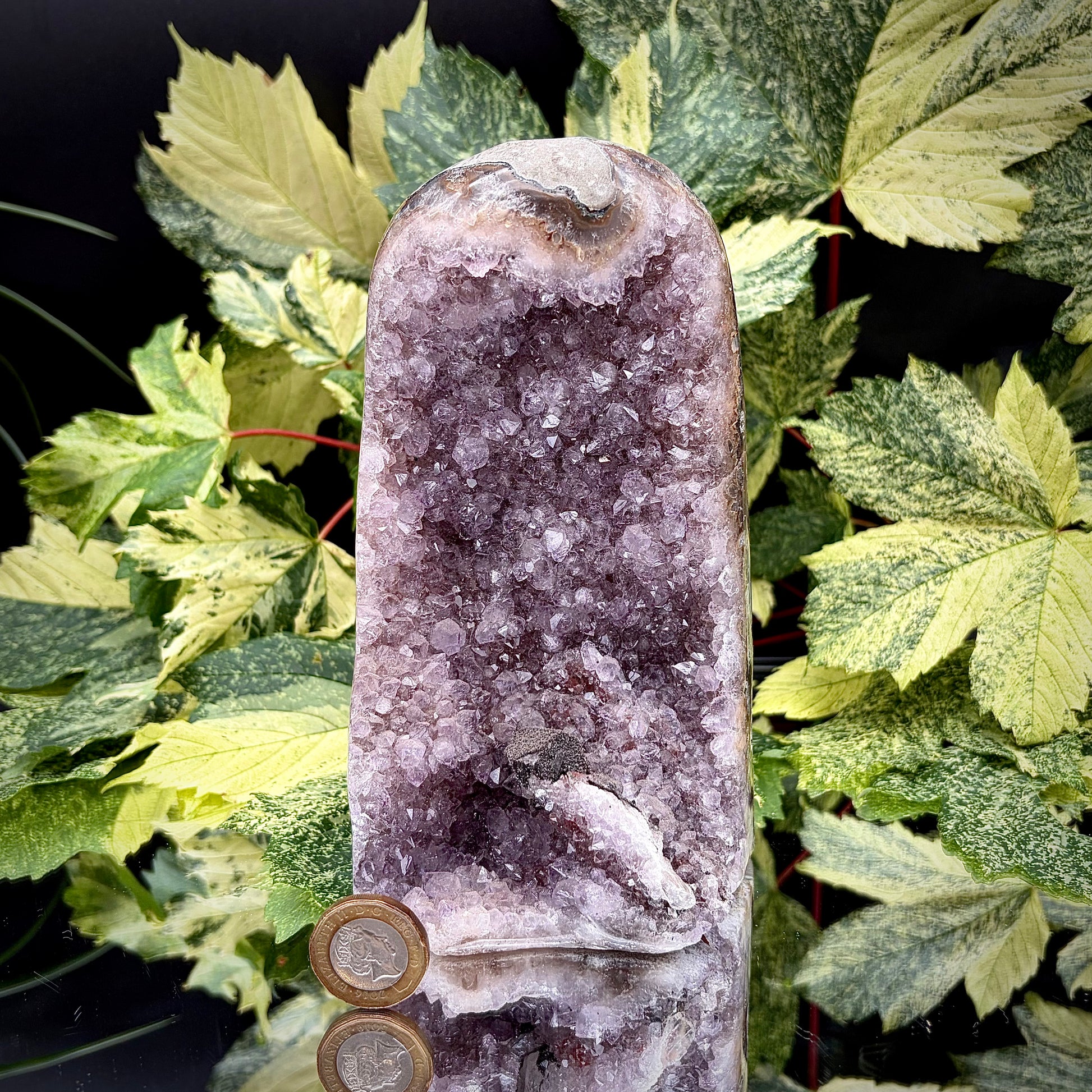 Uruguayan amethyst freeform showing sparkling purple crystals with pound coin for scale.