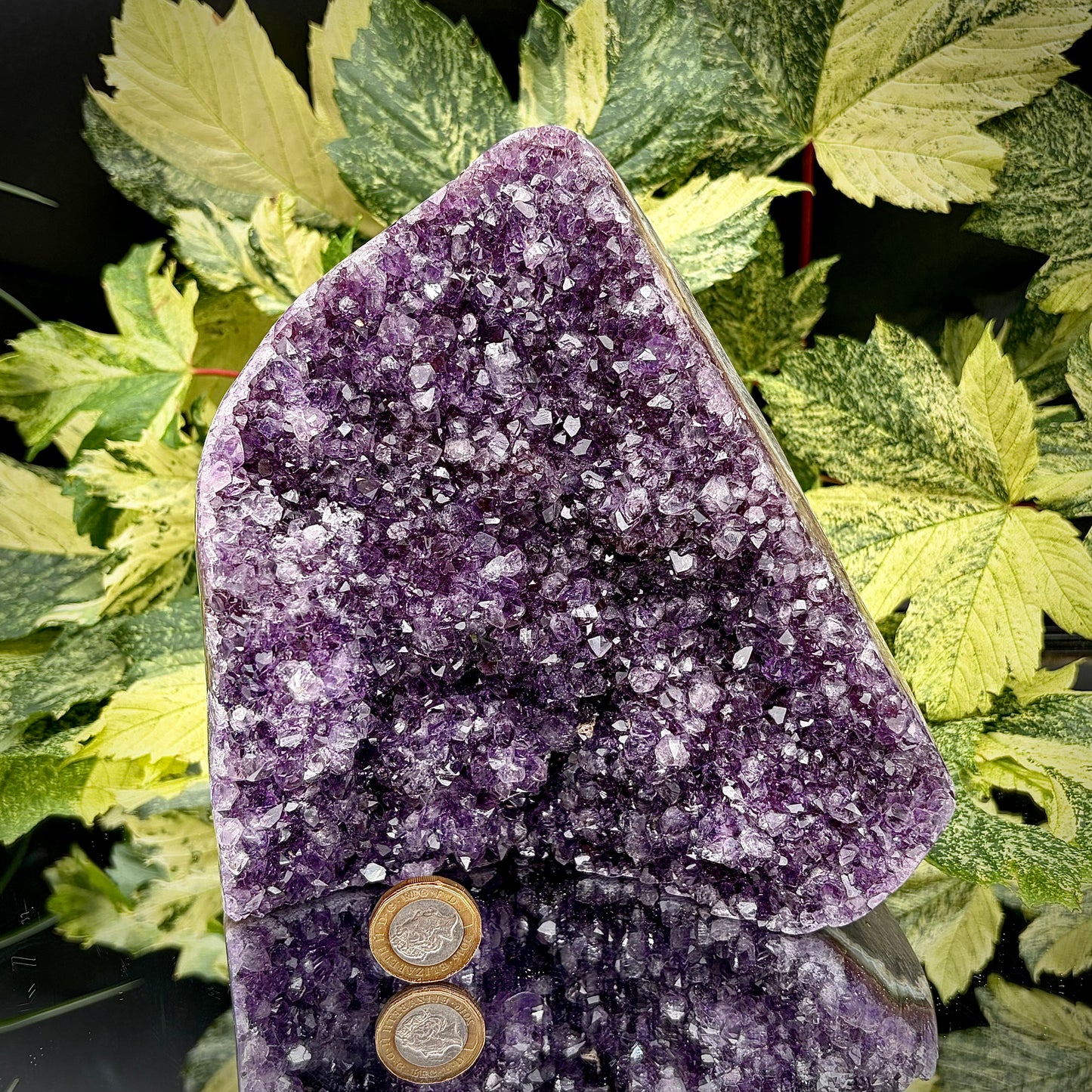 Uruguayan amethyst freeform showing sparkling purple crystals with pound coin for scale.
