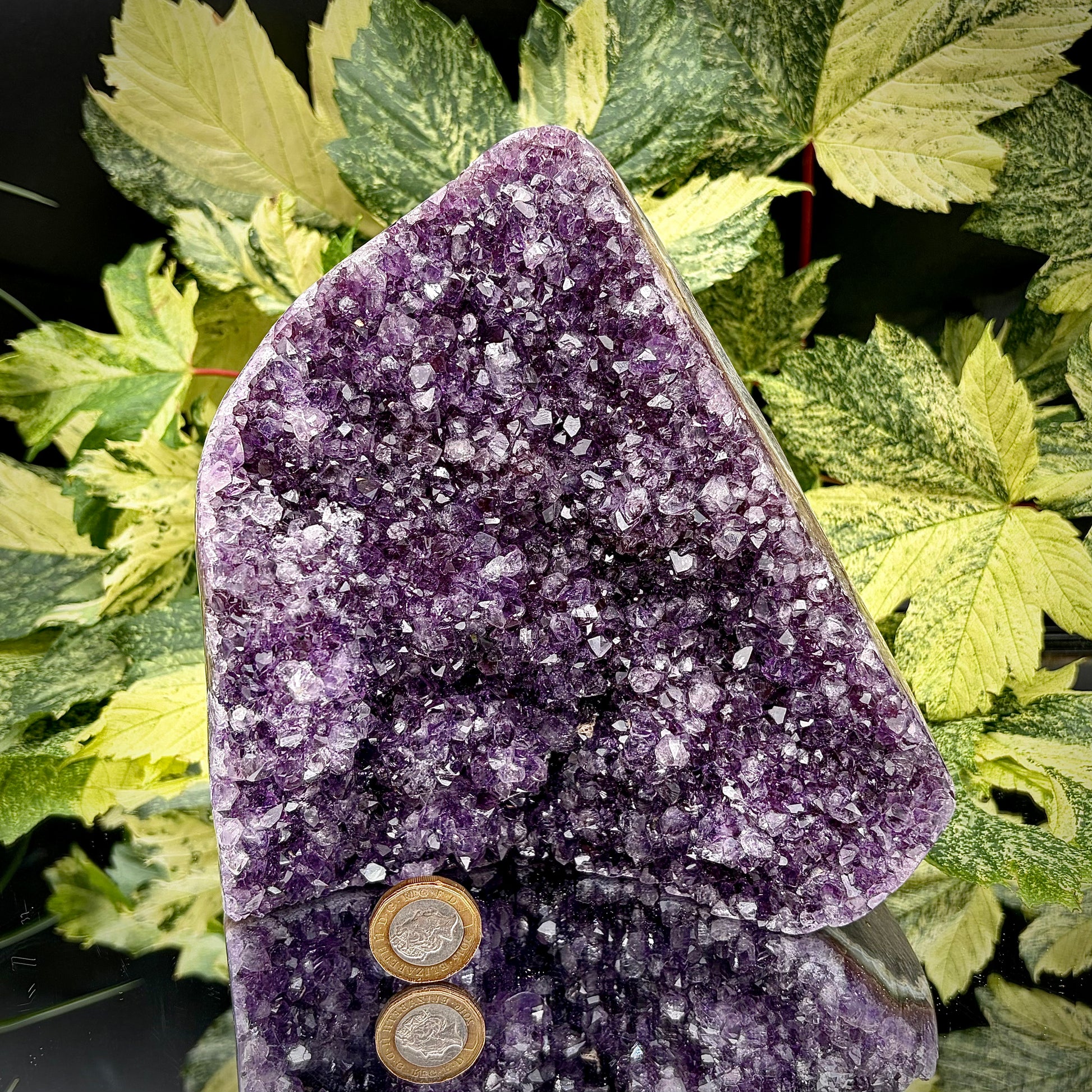Uruguayan amethyst freeform showing sparkling purple crystals with pound coin for scale.