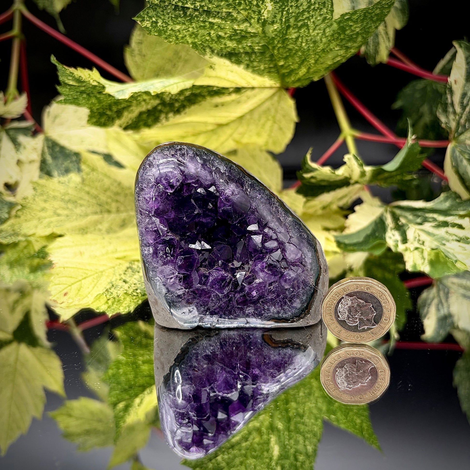 Uruguayan amethyst freeform showing sparkling purple crystals with pound coin for scale.