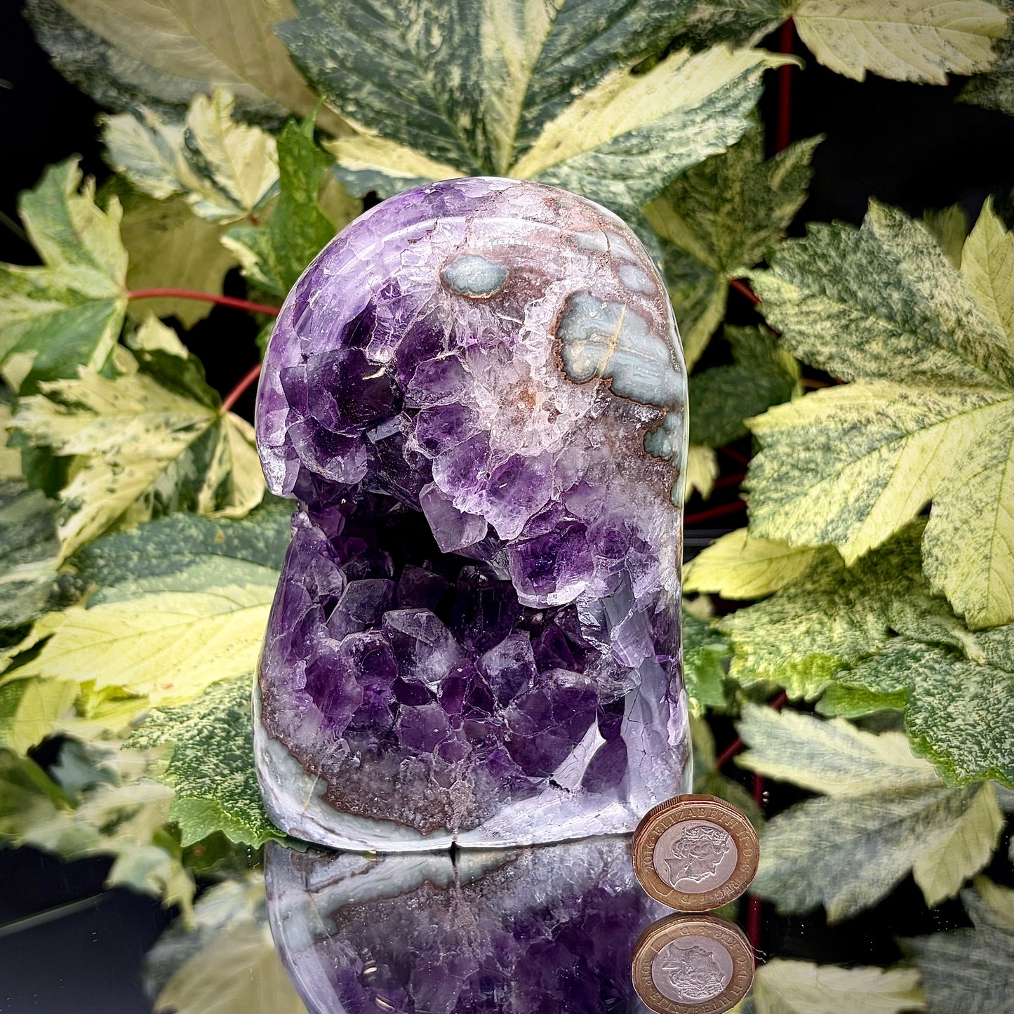 Uruguayan amethyst freeform showing sparkling purple crystals with pound coin for scale.