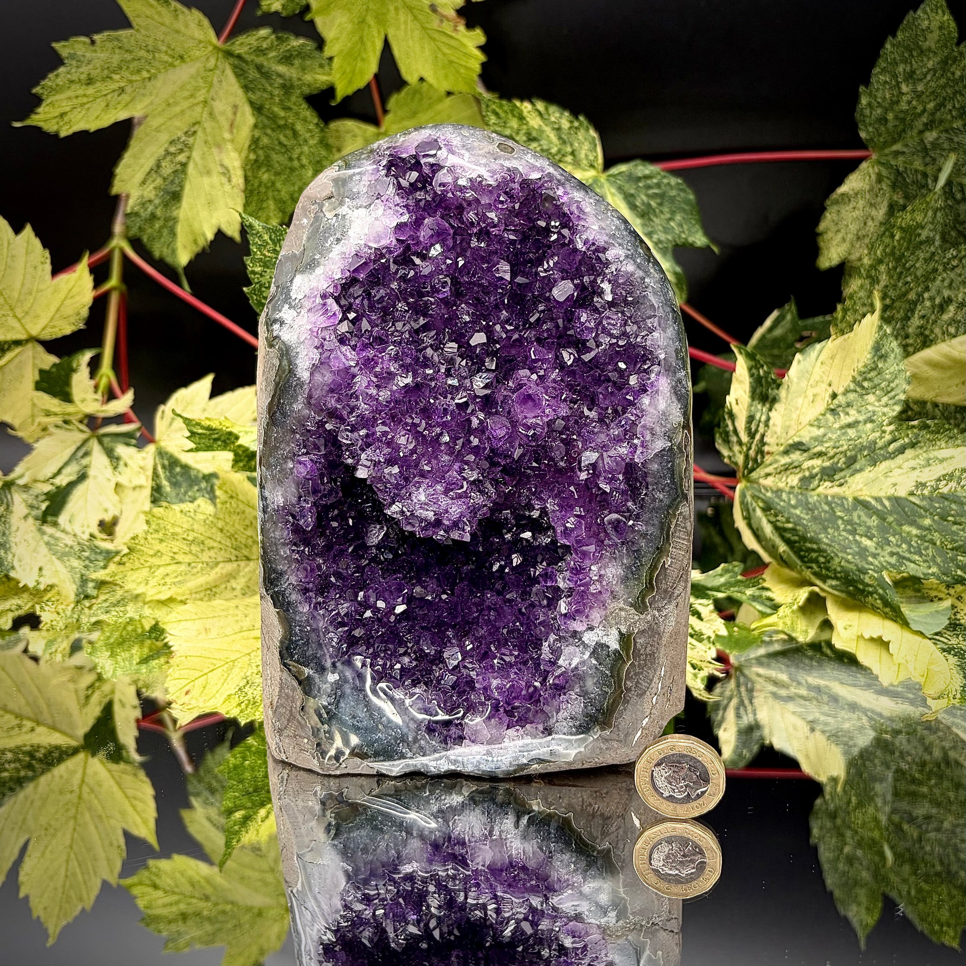 Uruguayan amethyst freeform showing sparkling purple crystals with pound coin for scale.