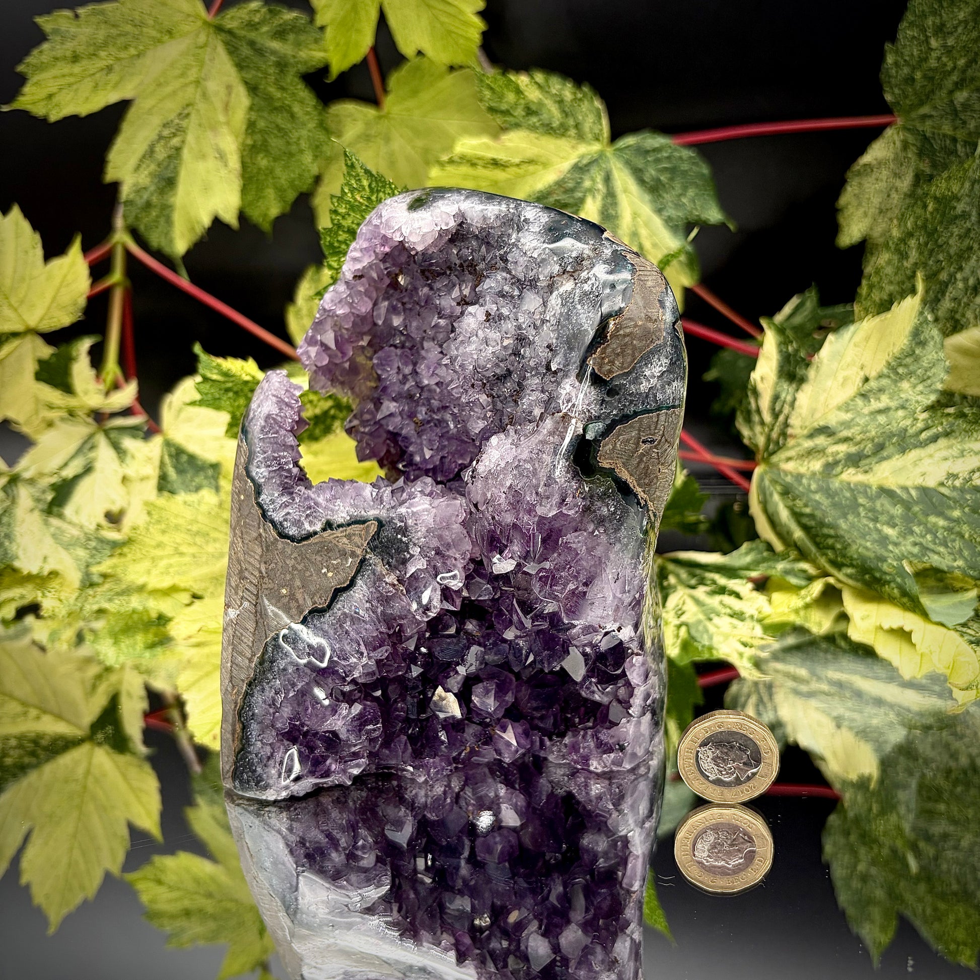 Uruguayan amethyst freeform showing sparkling purple crystals with pound coin for scale.