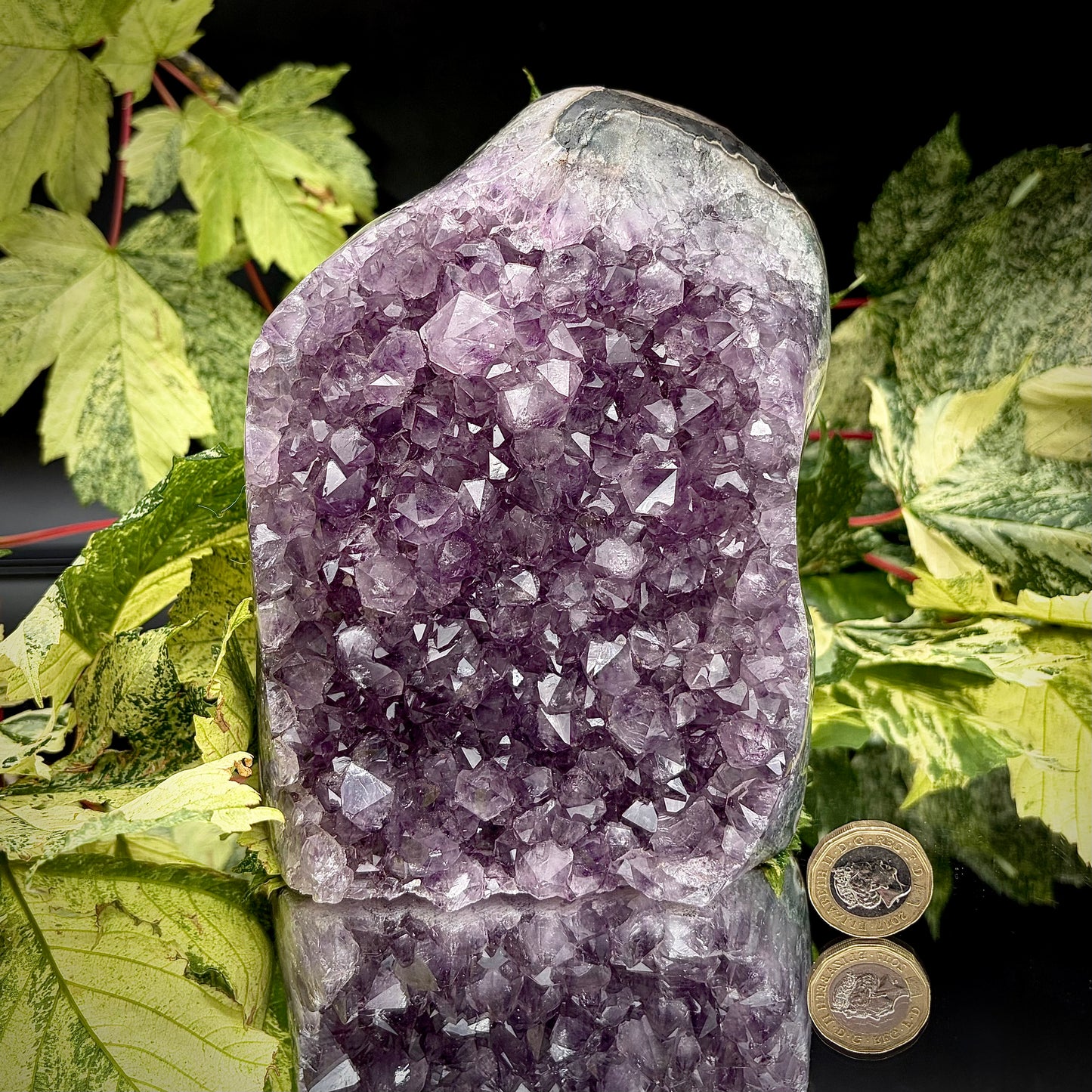 Uruguayan amethyst freeform showing sparkling purple crystals with pound coin for scale.