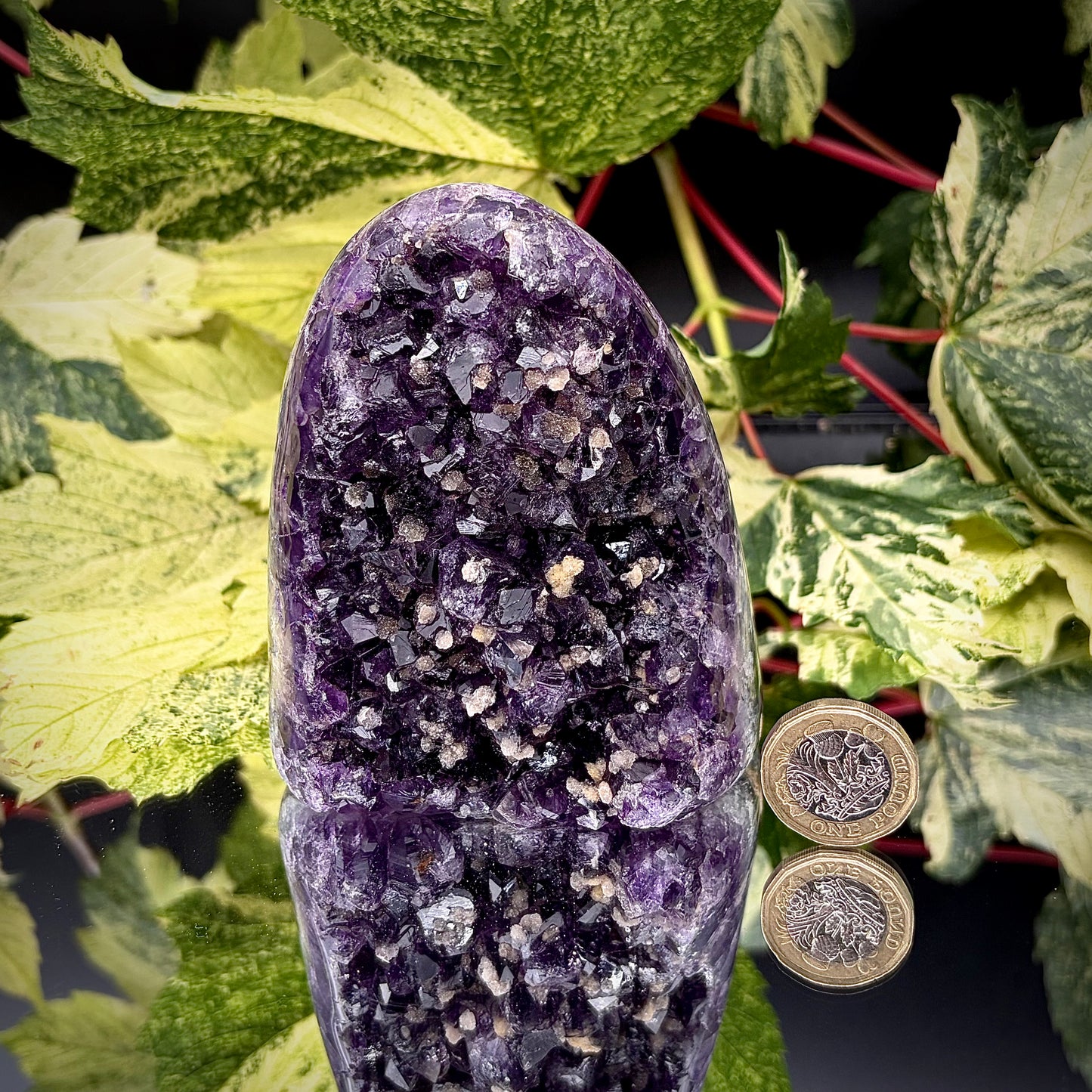 Uruguayan amethyst freeform showing sparkling purple crystals with pound coin for scale.