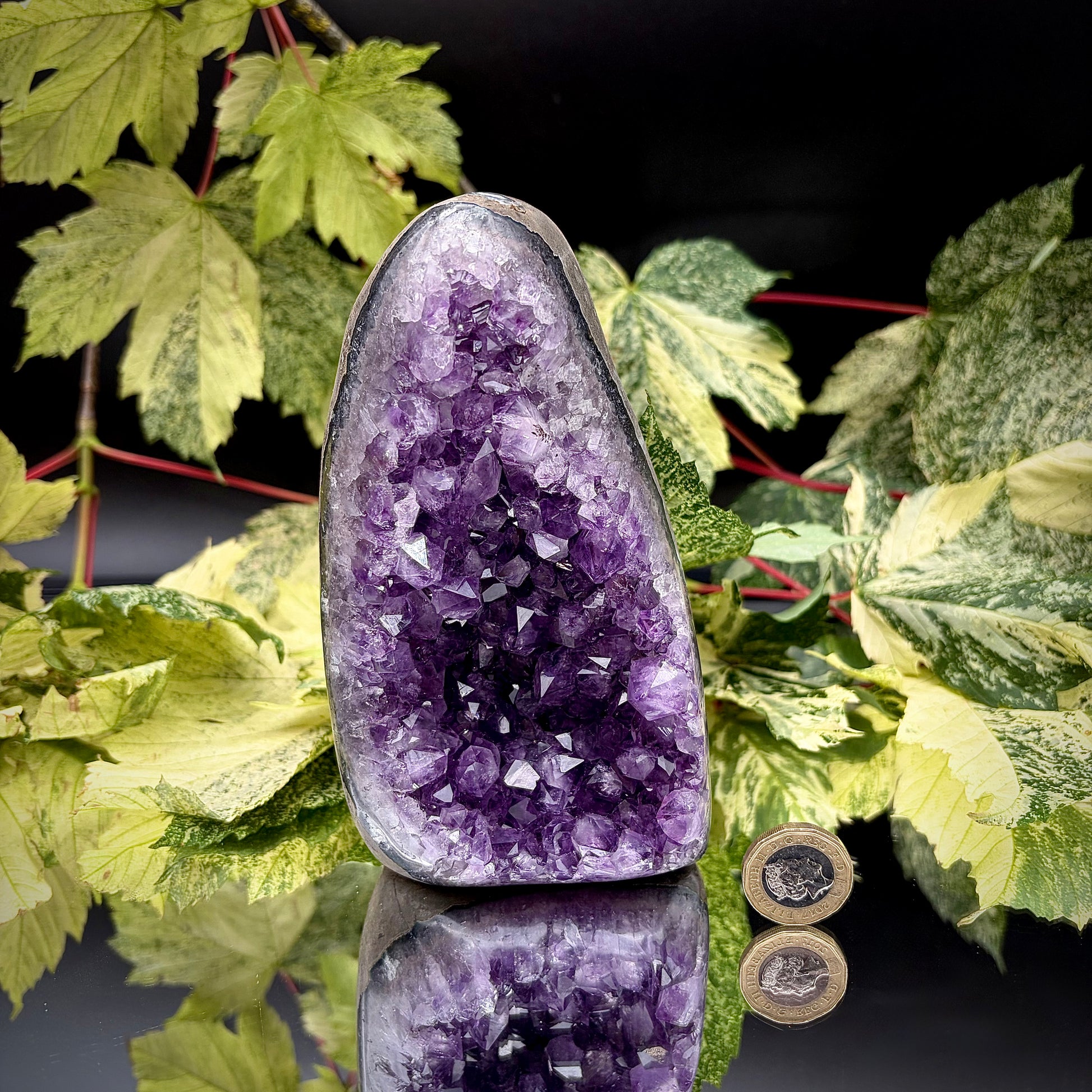 Uruguayan amethyst freeform showing sparkling purple crystals with pound coin for scale.