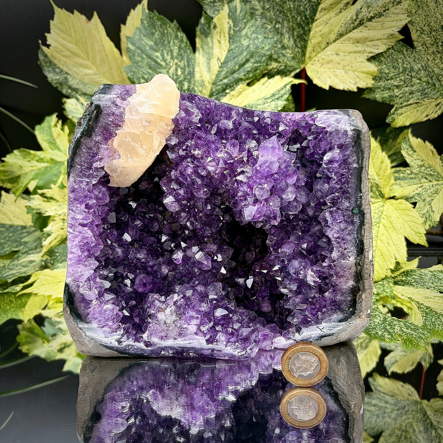 Uruguayan amethyst freeform showing sparkling purple crystals with pound coin for scale.