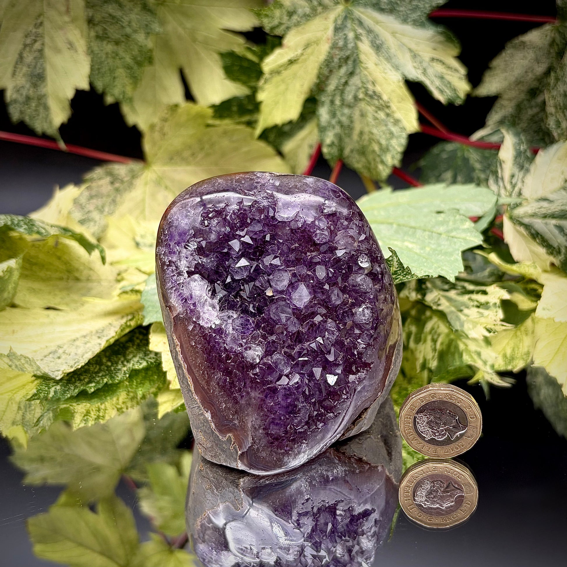 Uruguayan amethyst freeform showing sparkling purple crystals with pound coin for scale.