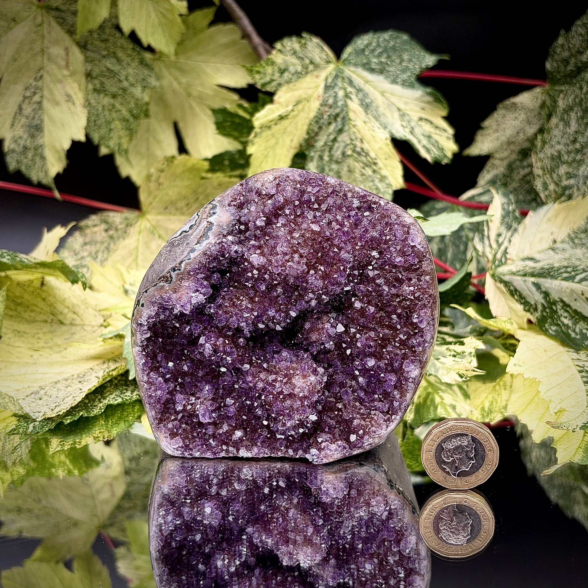 Uruguayan amethyst freeform showing sparkling purple crystals with pound coin for scale.