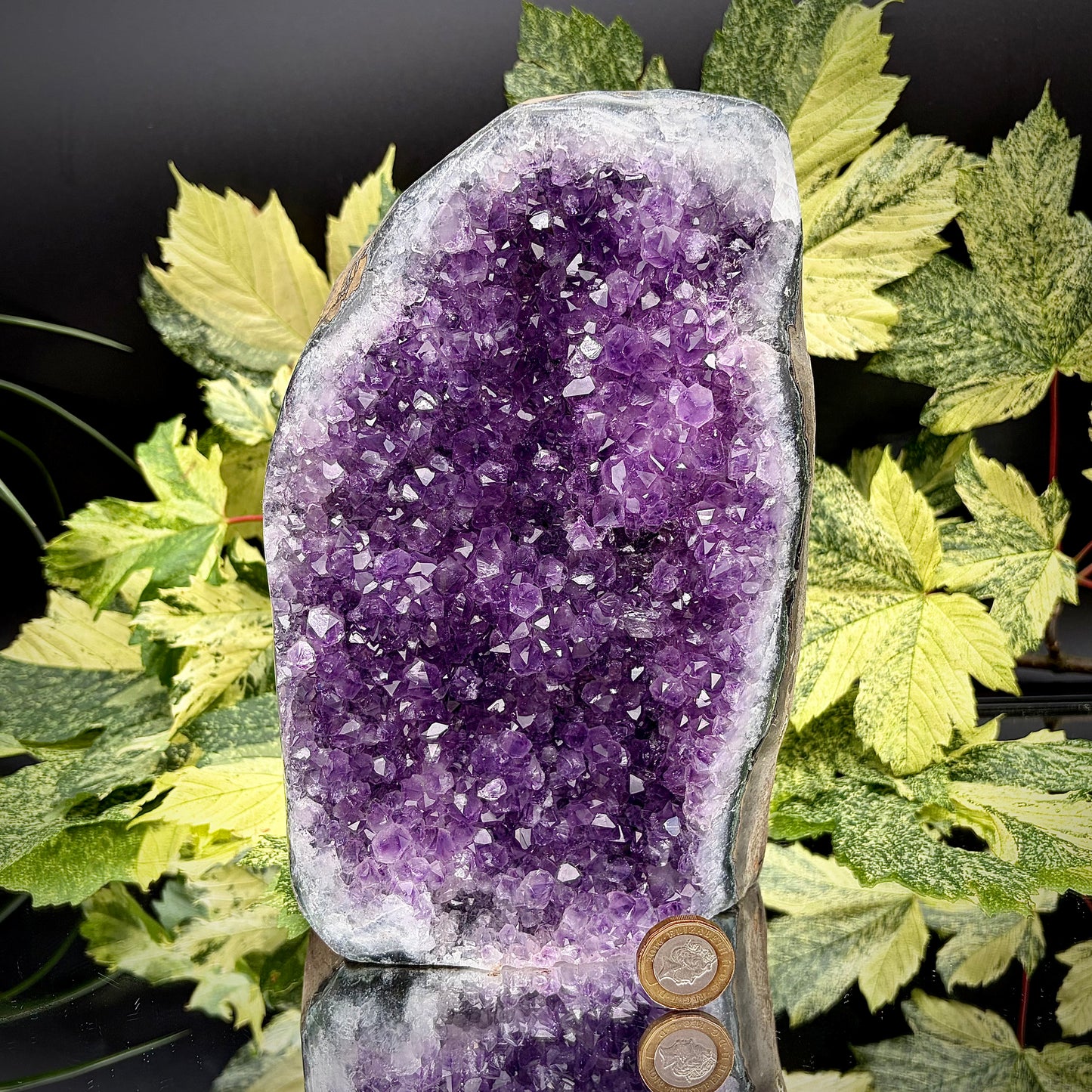 Uruguayan amethyst freeform showing sparkling purple crystals with pound coin for scale.