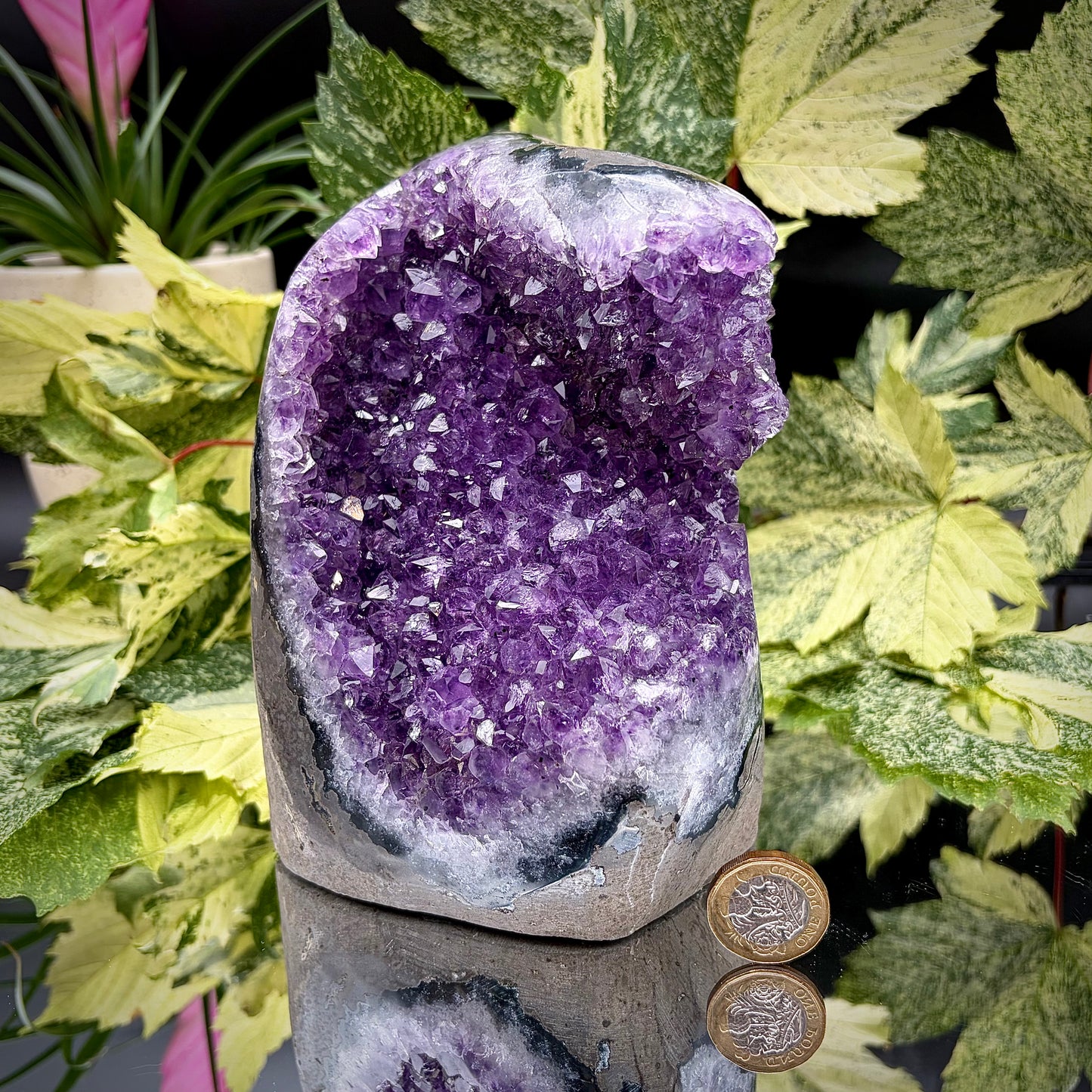 Uruguayan amethyst freeform showing sparkling purple crystals with pound coin for scale.