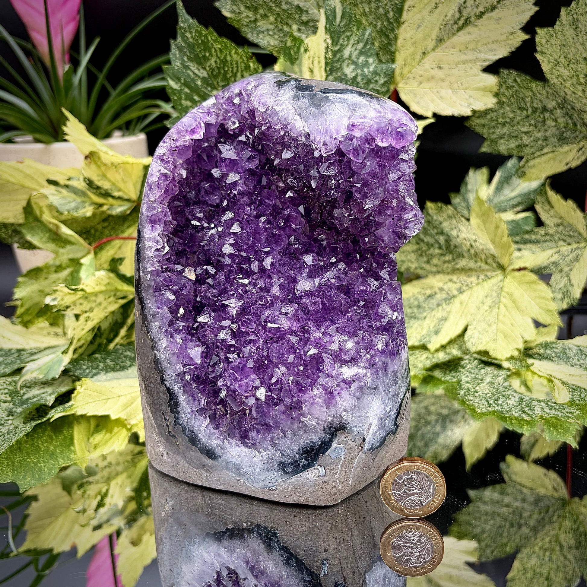 Uruguayan amethyst freeform showing sparkling purple crystals with pound coin for scale.
