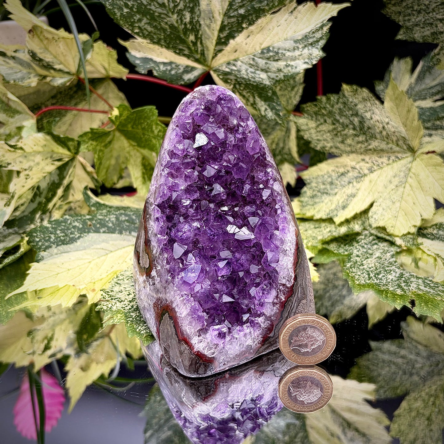 Uruguayan amethyst freeform showing sparkling purple crystals with pound coin for scale.