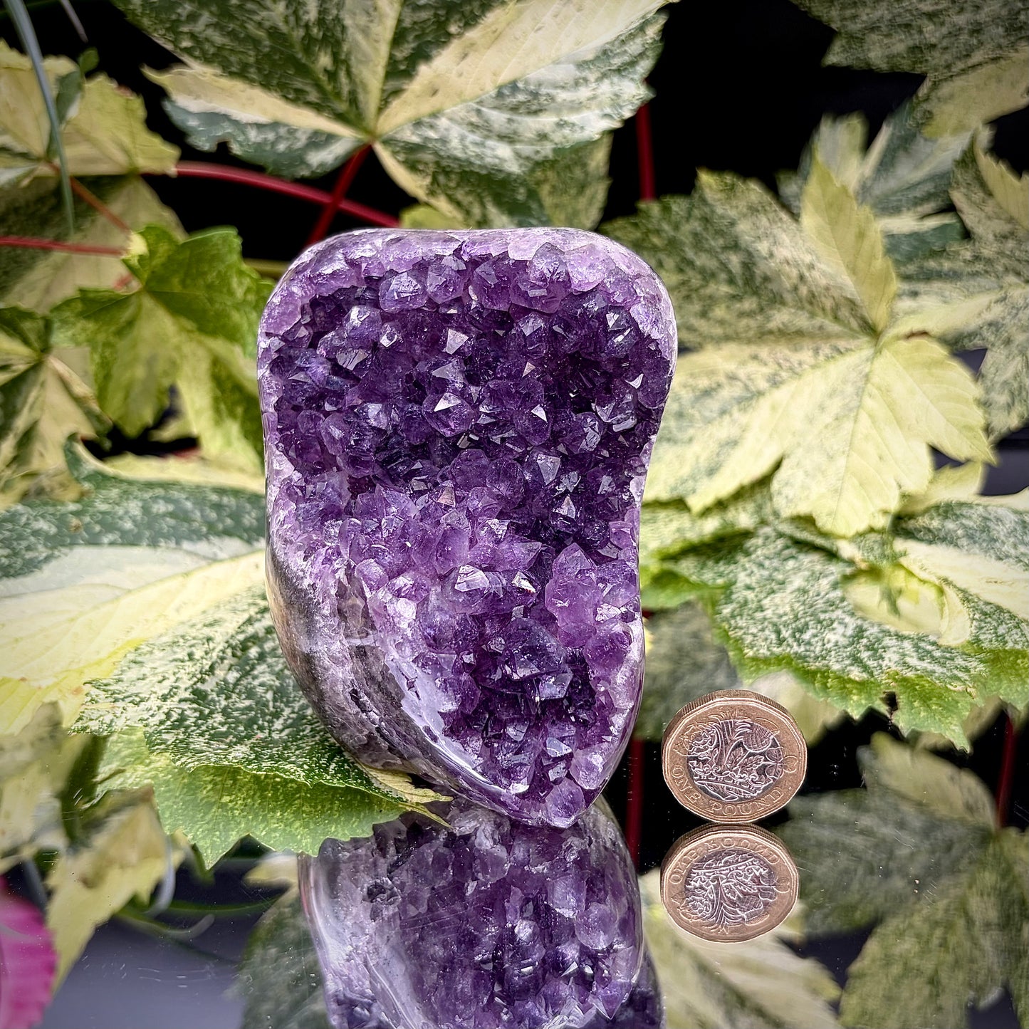 Uruguayan amethyst freeform showing sparkling purple crystals with pound coin for scale.