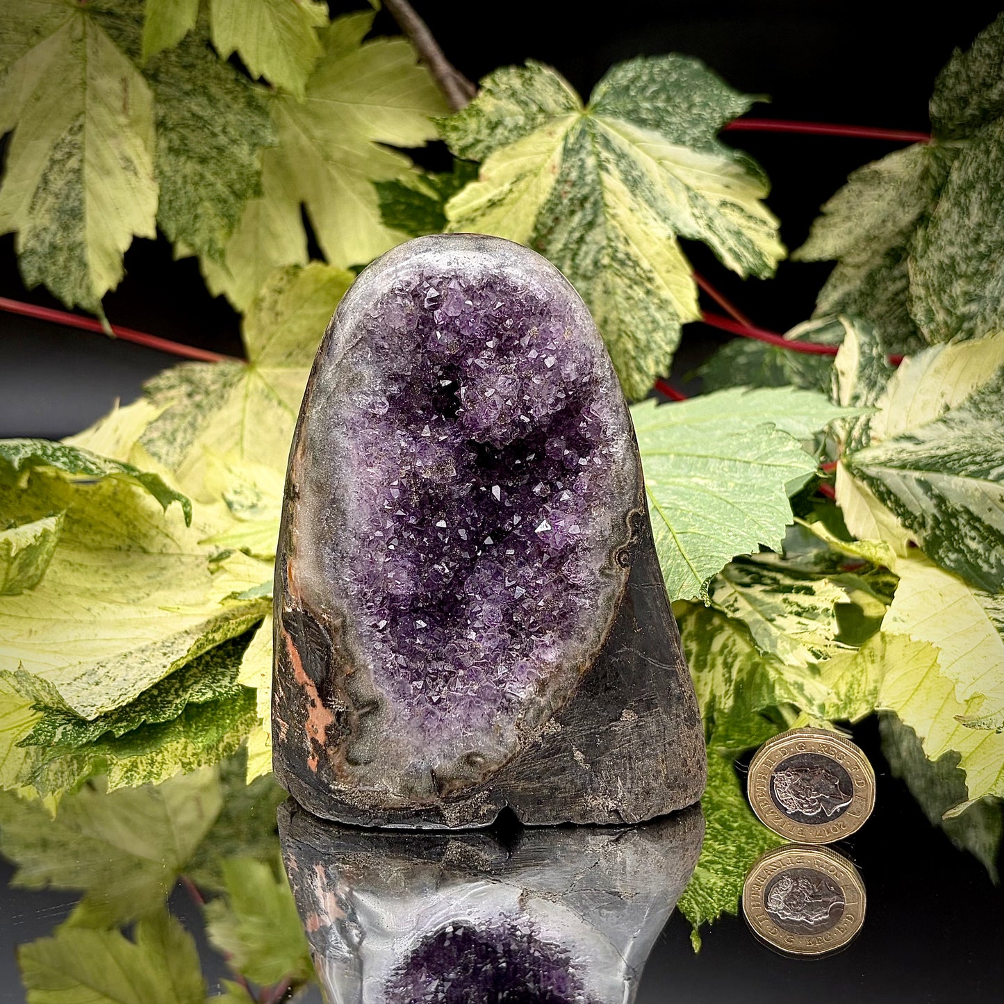 Uruguayan amethyst freeform showing sparkling purple crystals with pound coin for scale.