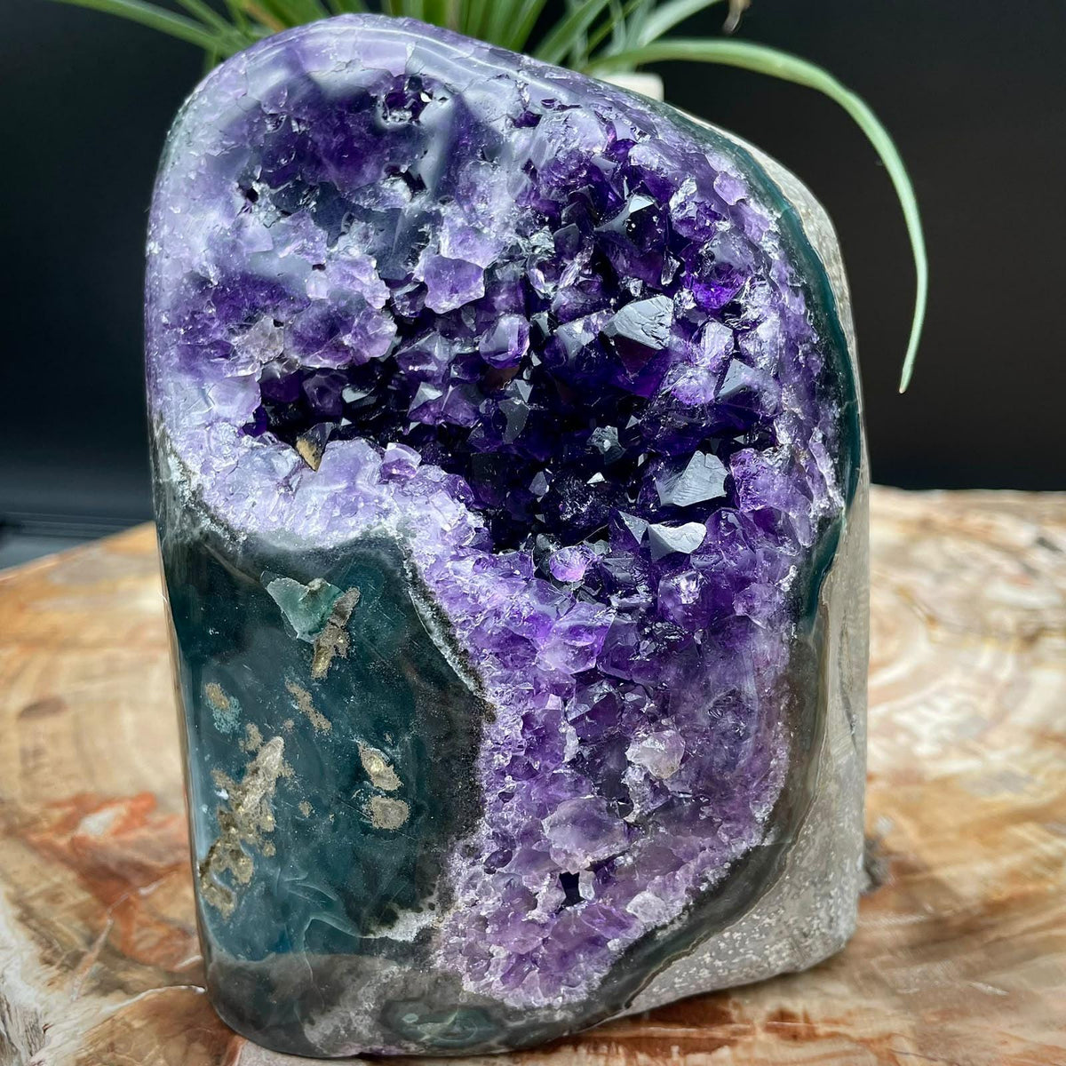 Amethyst cut base for geology and mineral collectors