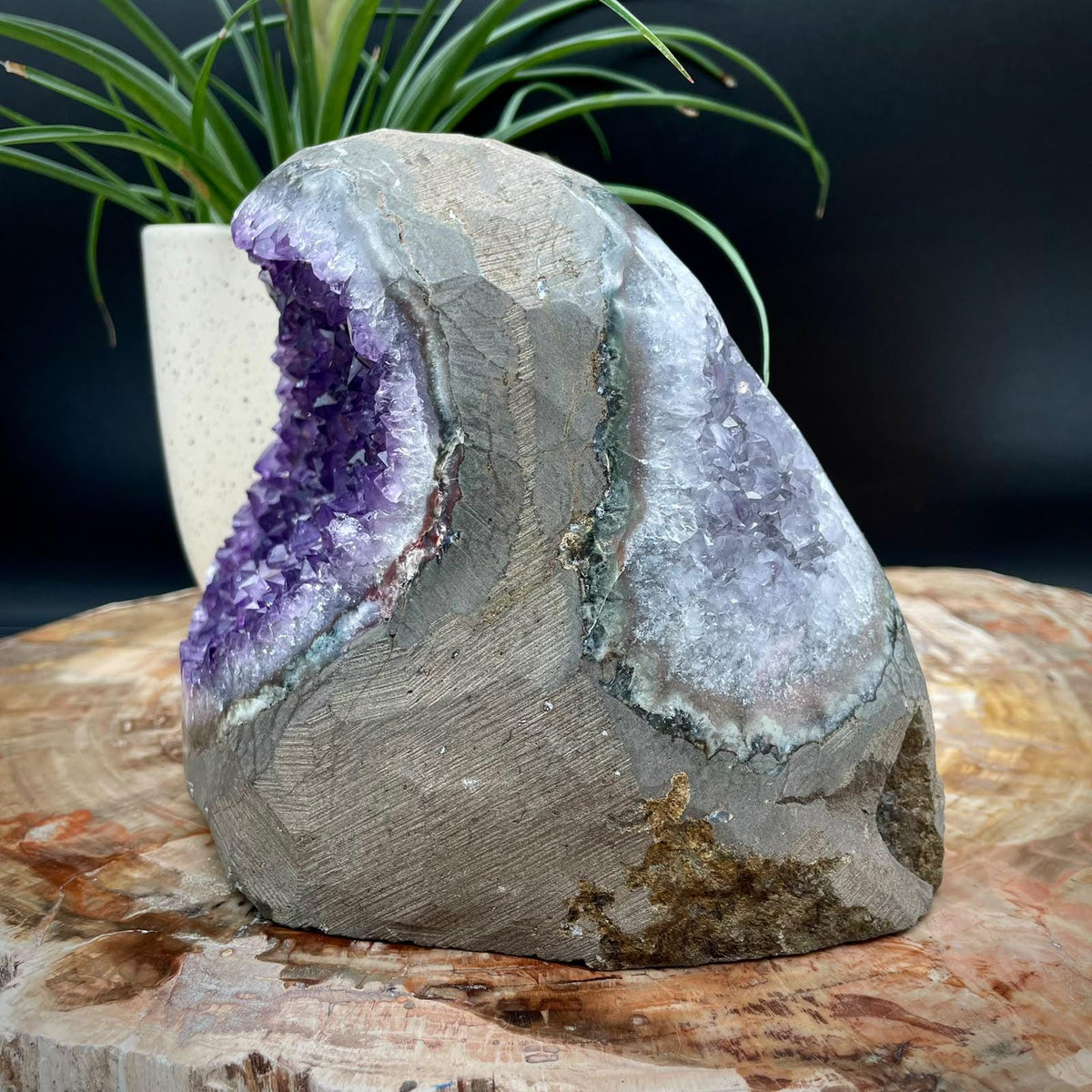 Natural Amethyst cut base statement piece