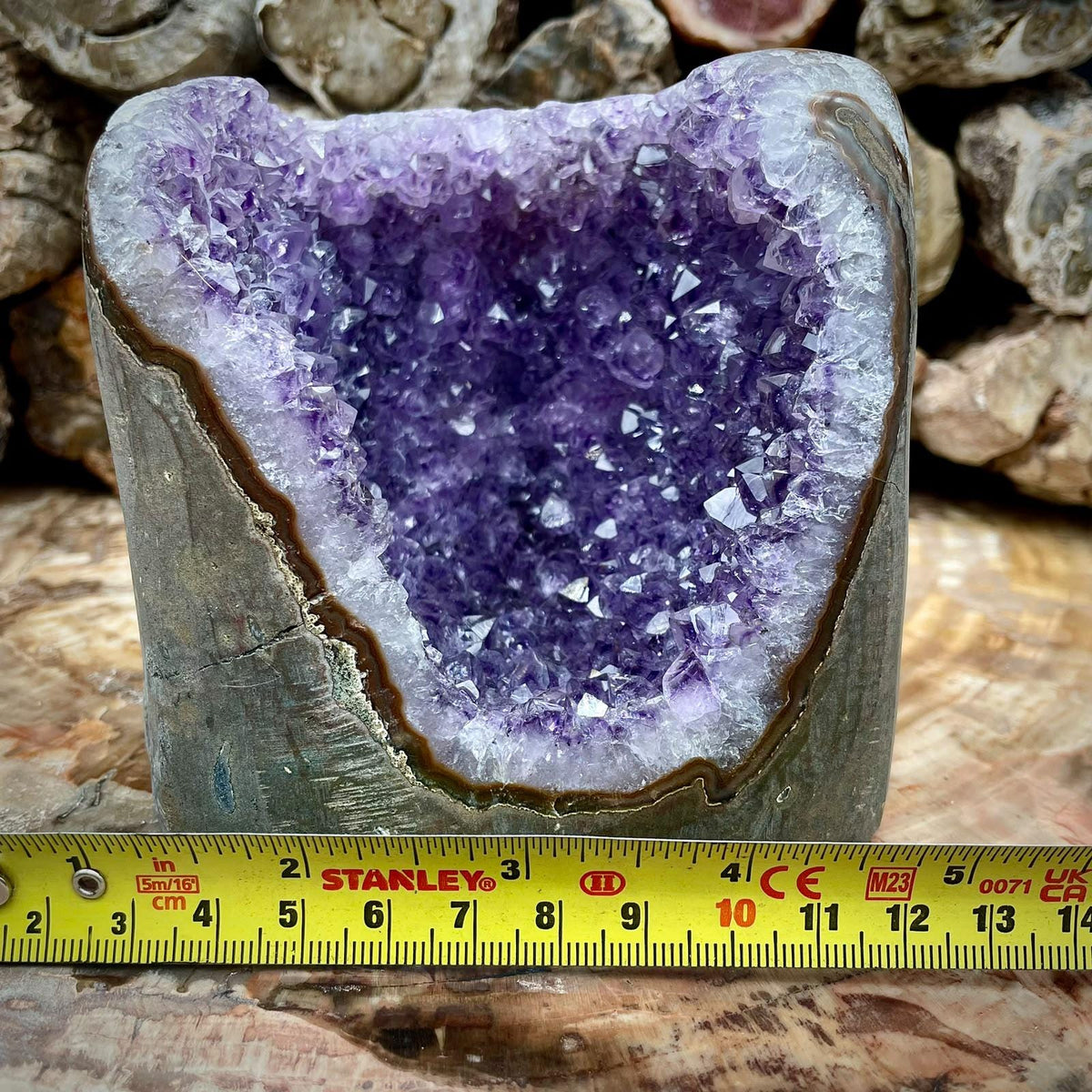 Uruguayan Amethyst geode freestanding cut base specimen