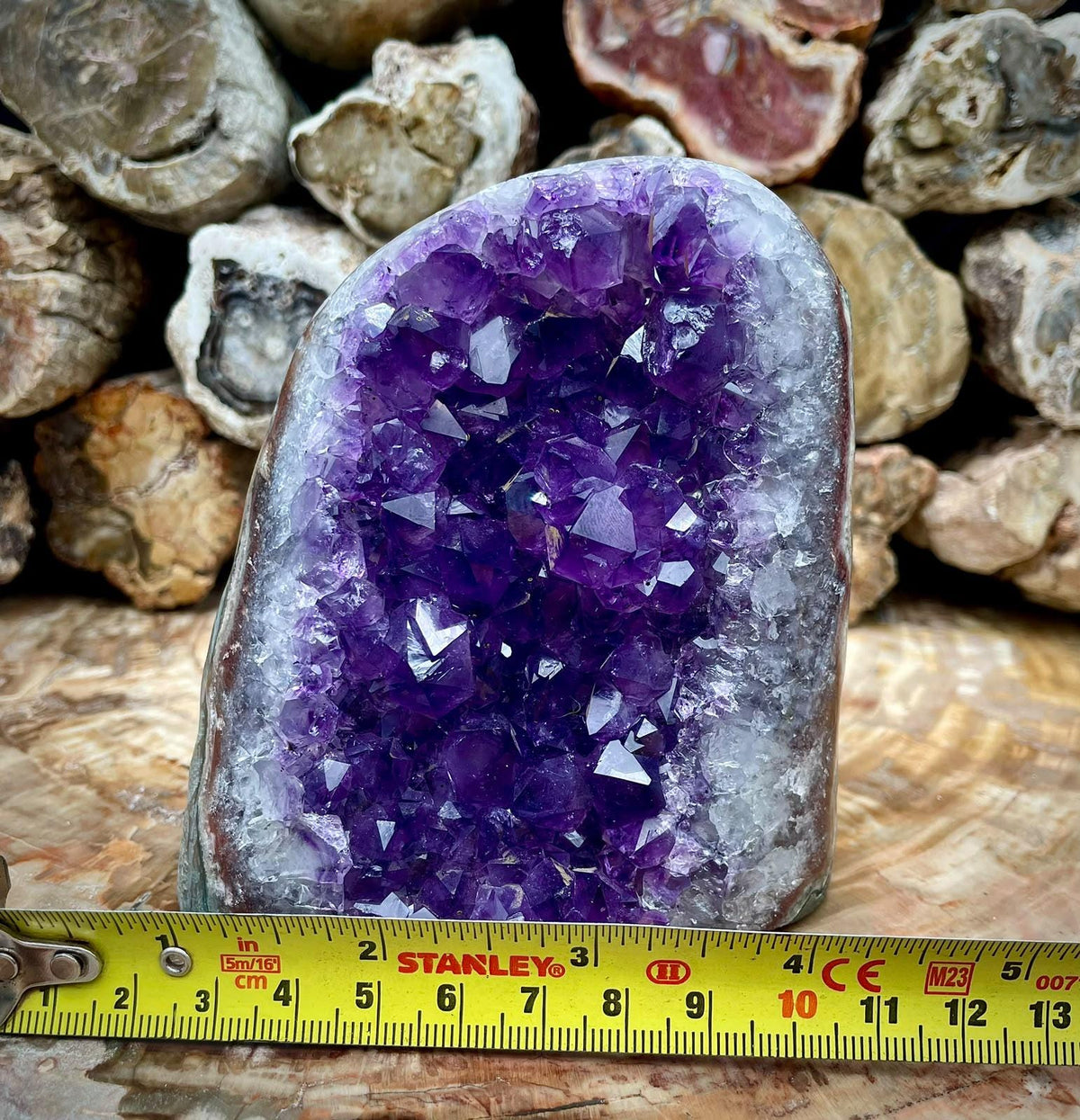 Natural Amethyst geode mineral specimen with cut base