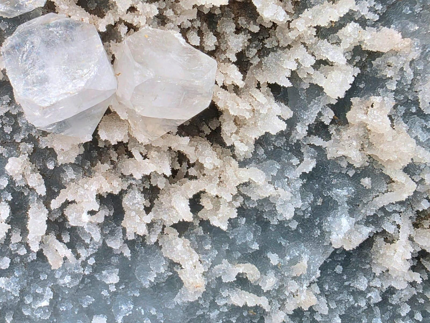 Natural Apophyllite and Blue Chalcedony specimen with sparkling crystals across the matrix