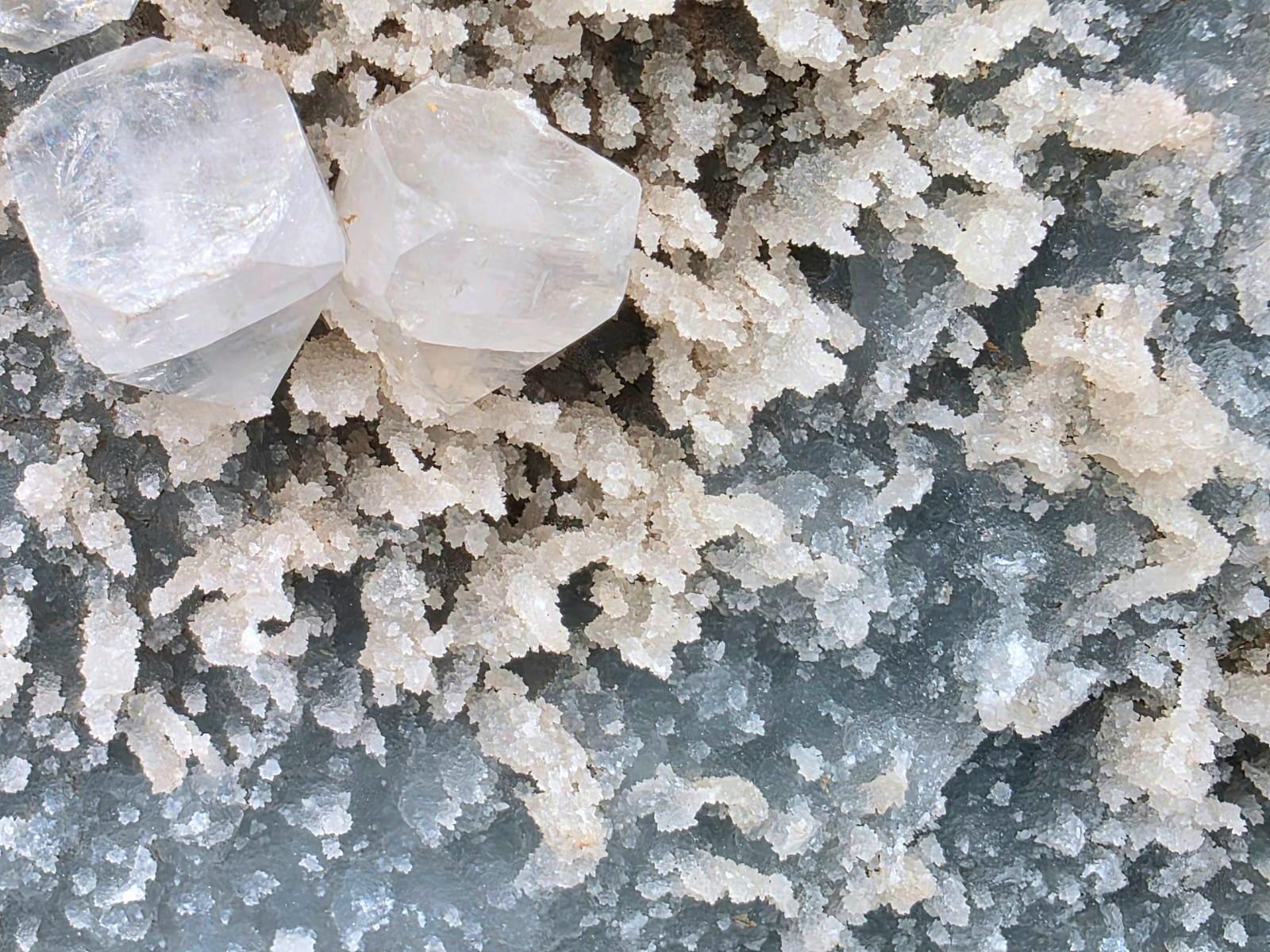 Natural Apophyllite and Blue Chalcedony specimen with sparkling crystals across the matrix
